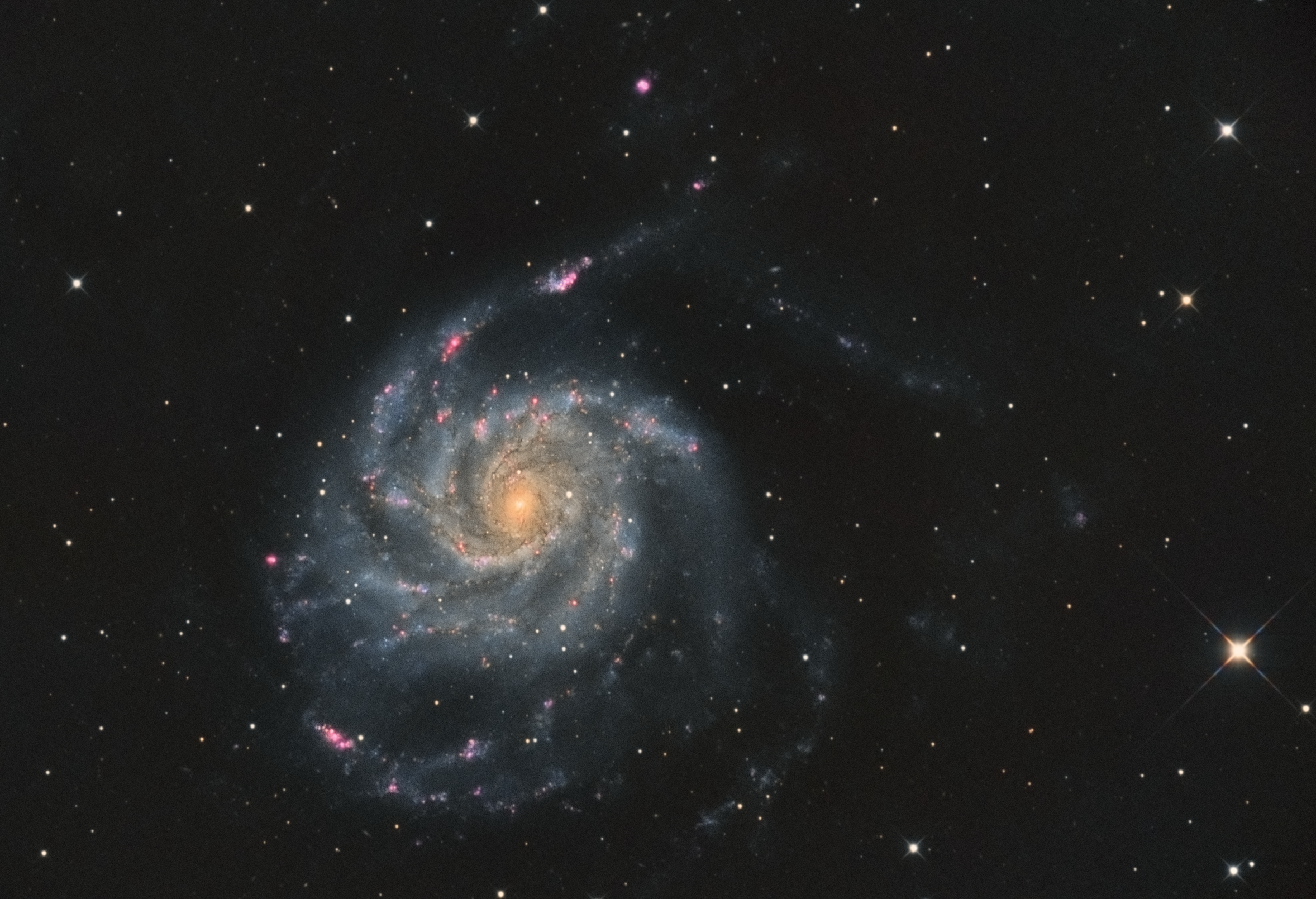 M101JPG.jpg