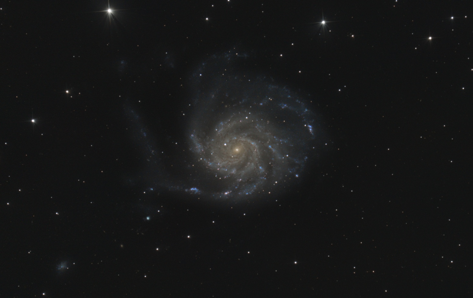 m101_118x300s_v1_AF.jpg