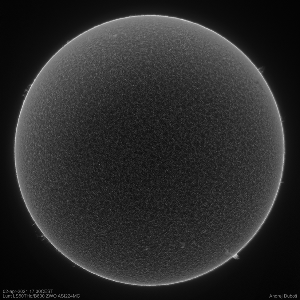 2021-04-02_17-30CEST (BW)web.png