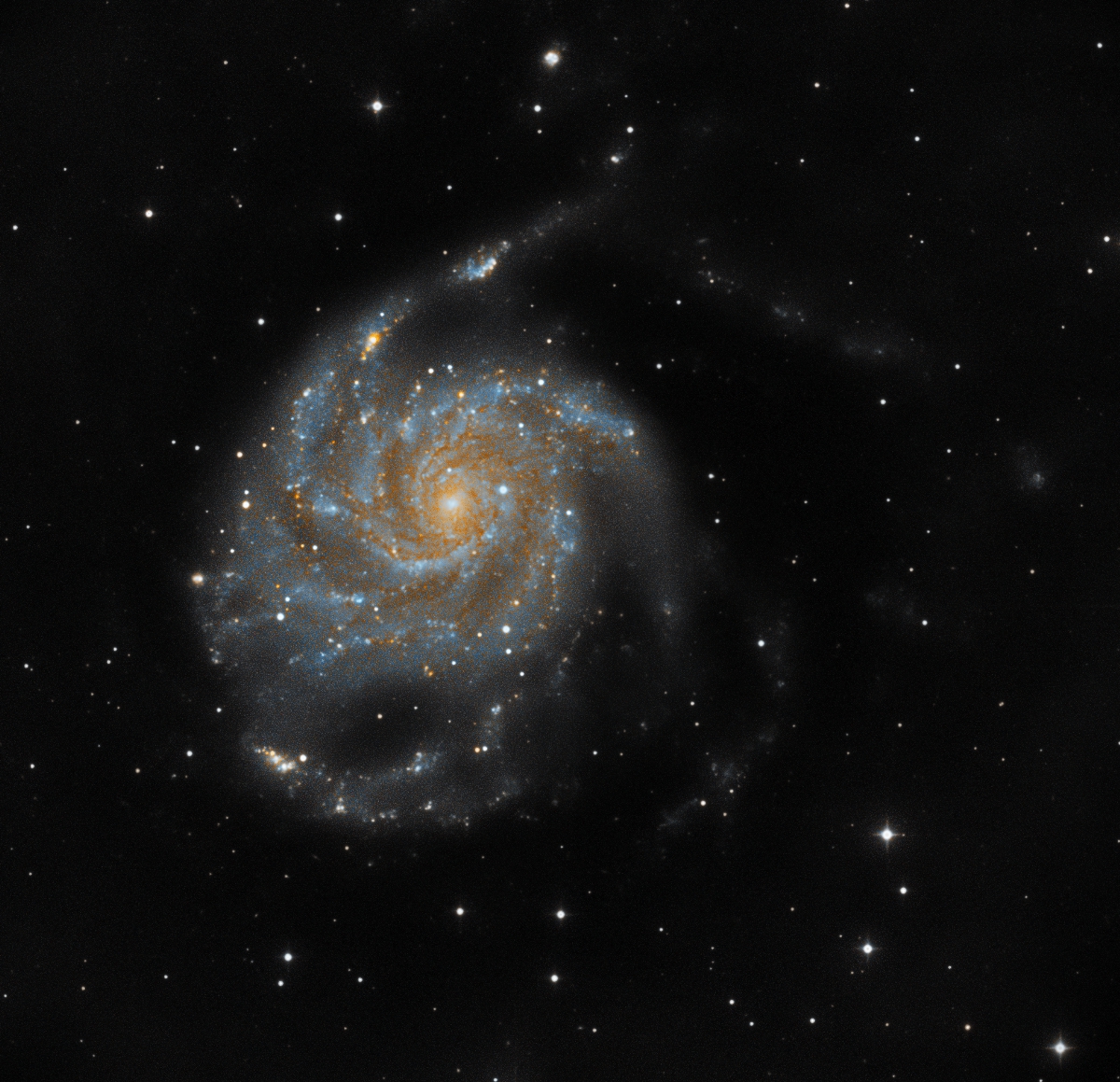 M101.jpg