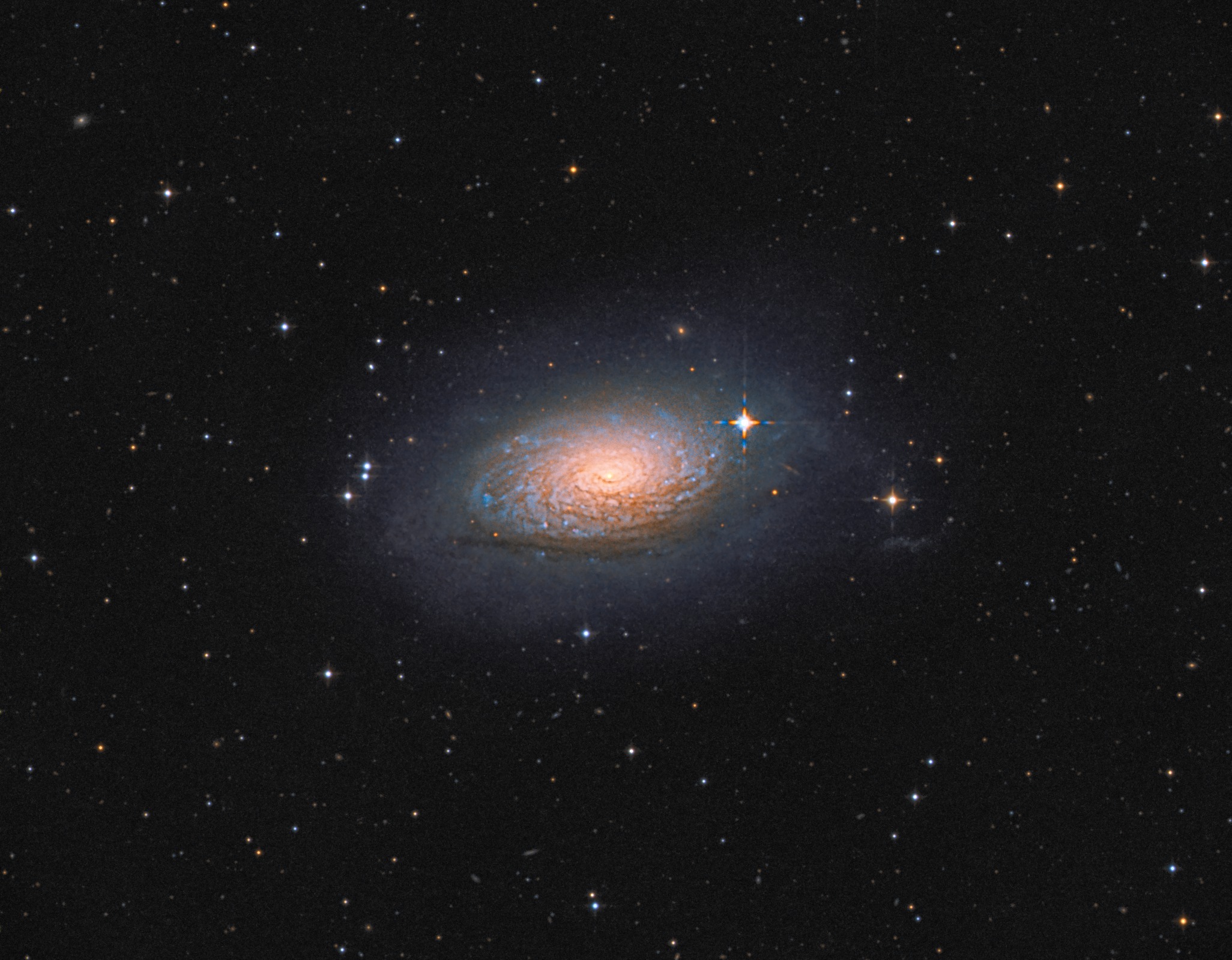 M63.jpg