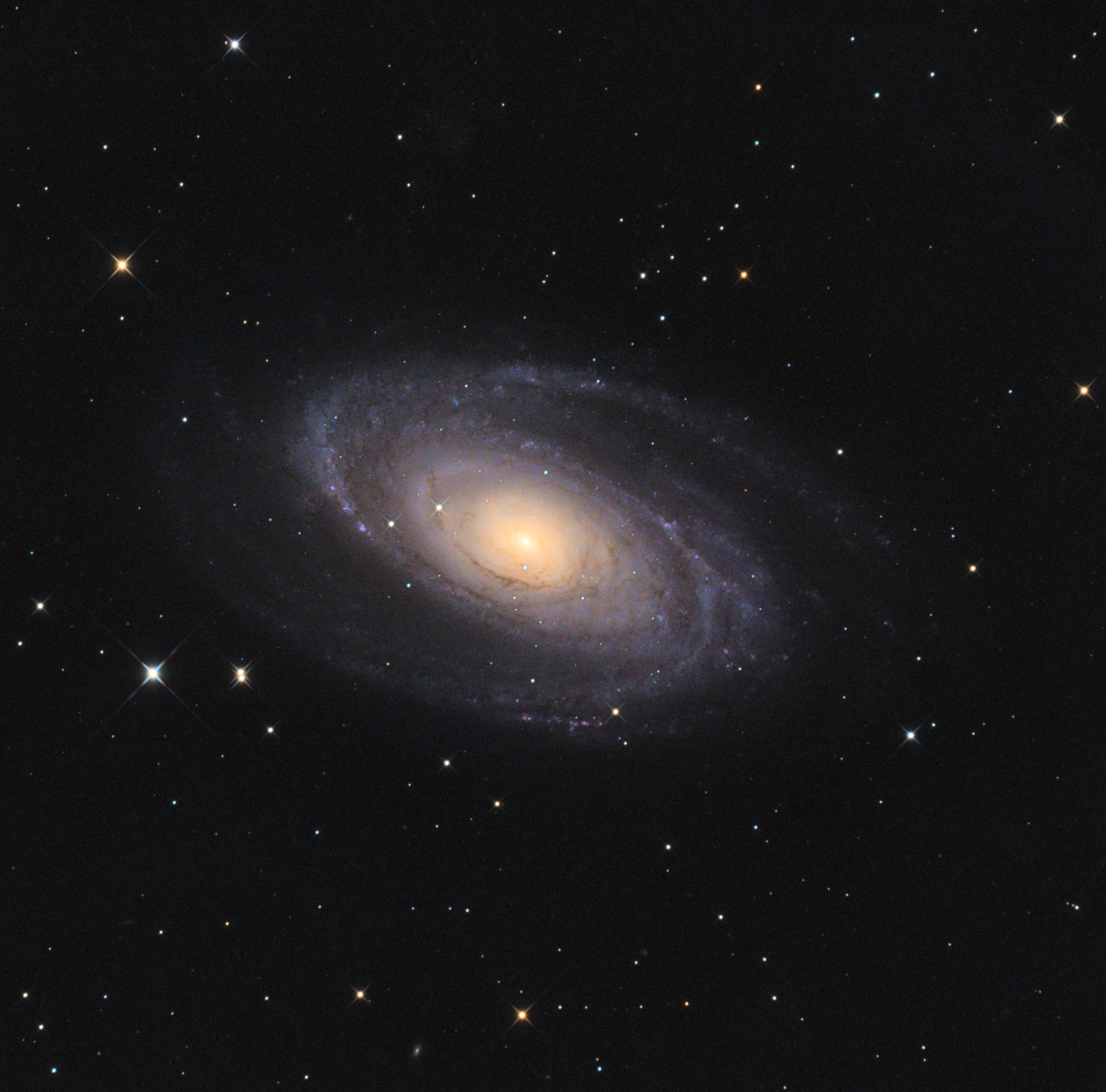 M81.jpg