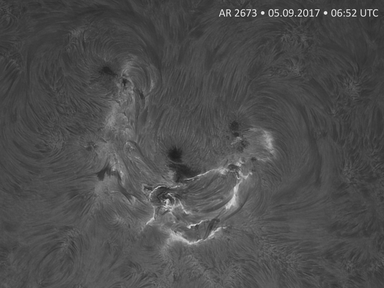 2017-09-05-AR2673.jpg