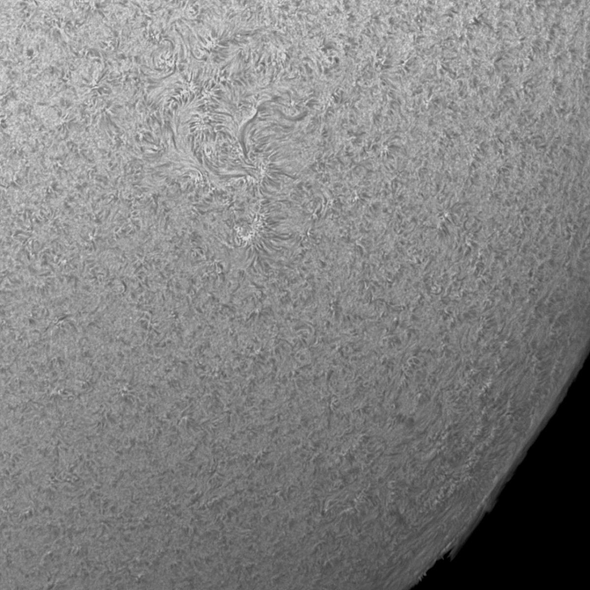 2021-05-30T17_34_27-Sun-ZWO ASI183MM-1200.jpg
