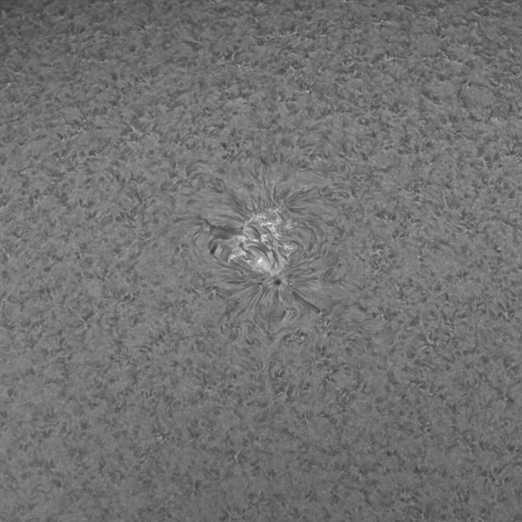 2021-05-30T17_28_23-Sun-AR12827.jpg