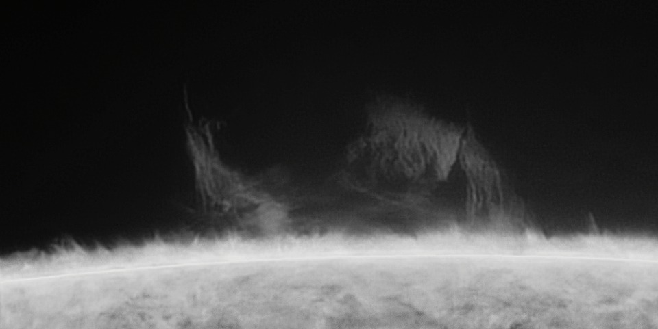 2021-05-31T07_42_56.jpg