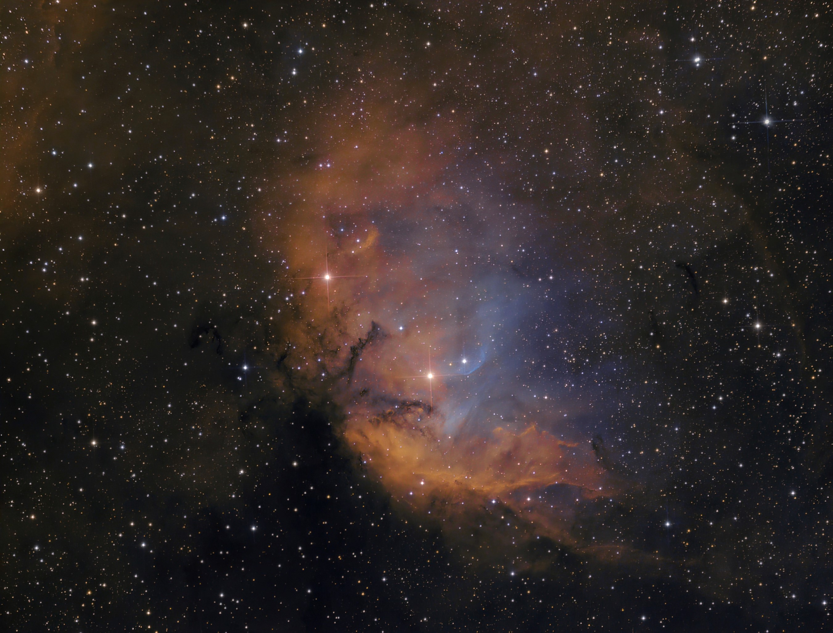 SH2-101_Tulip nebula_HST_3_sm.jpg