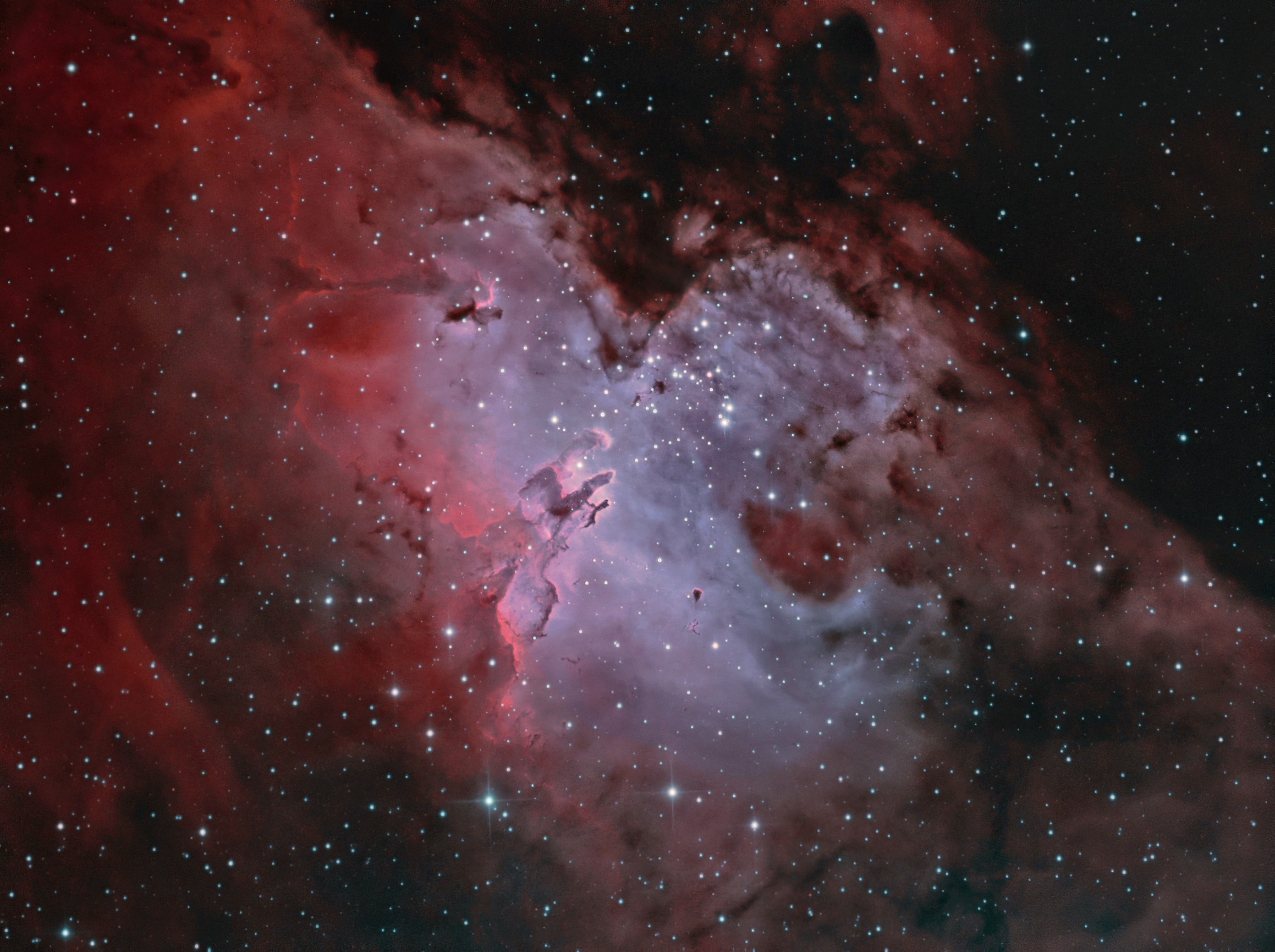 M16_Bicolor_4_sm.jpg