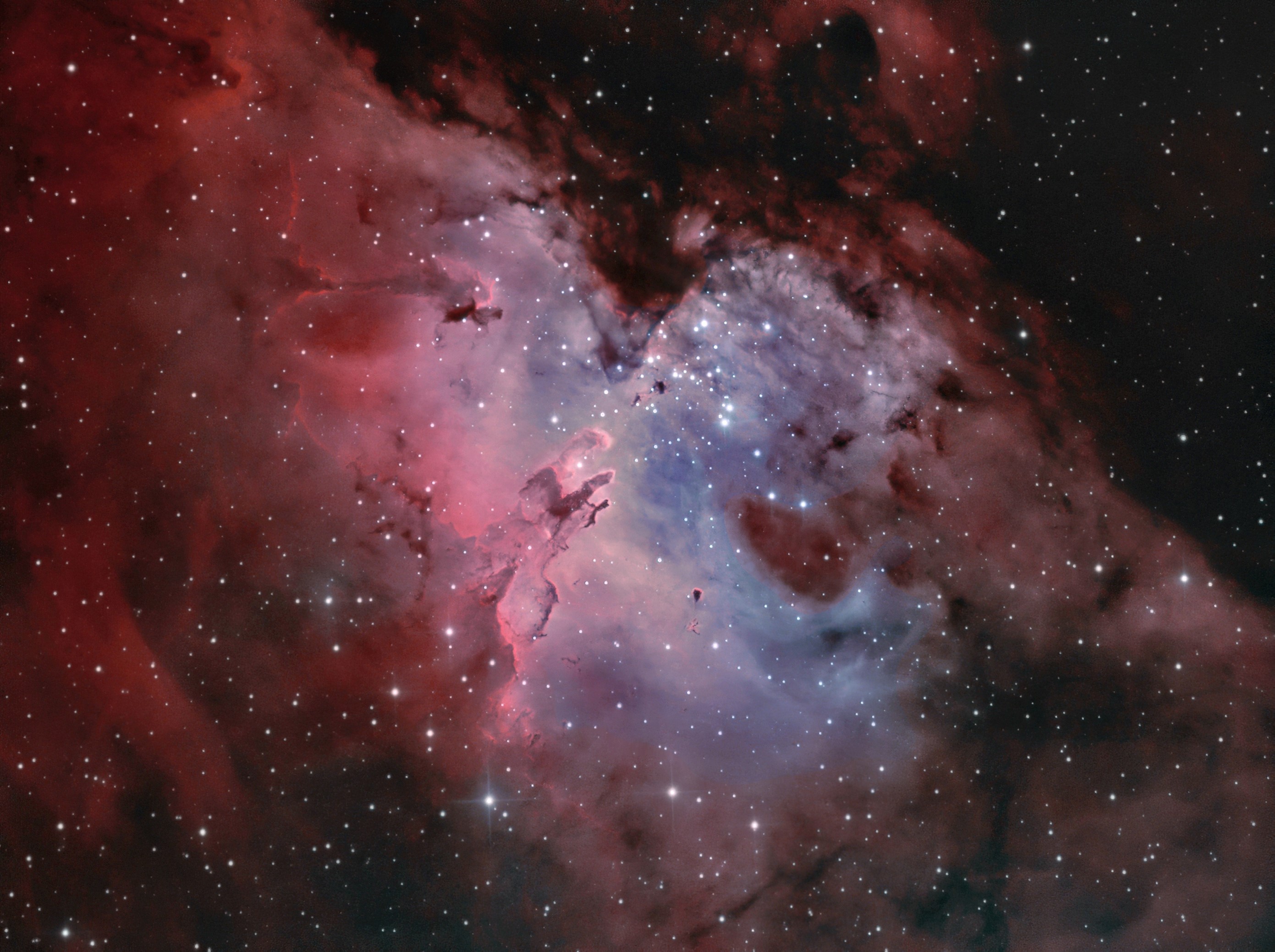 M16_Bicolor_11_new LHE_sml.jpg