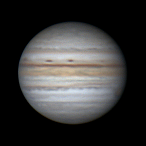 2021-06-19-0201.jpg