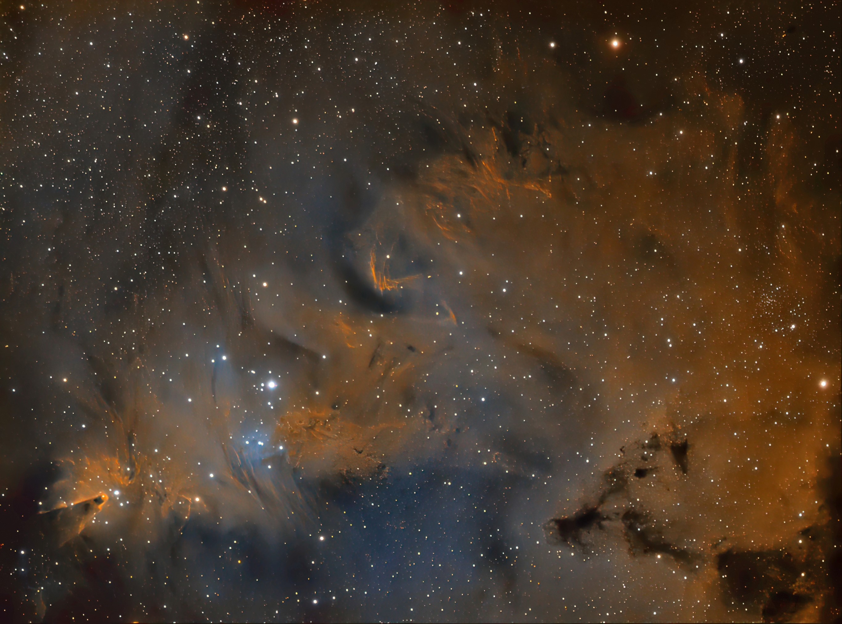 NGC_2264_HST_rotated_resampled_sm.jpg
