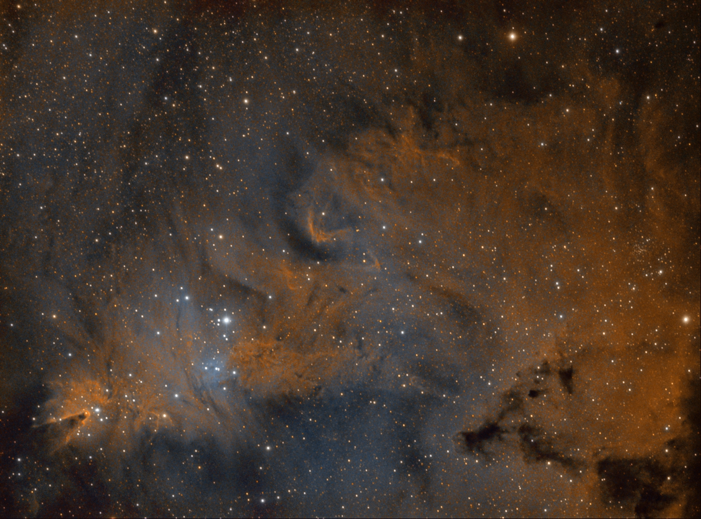 NGC_2264_HST_rotated.jpg