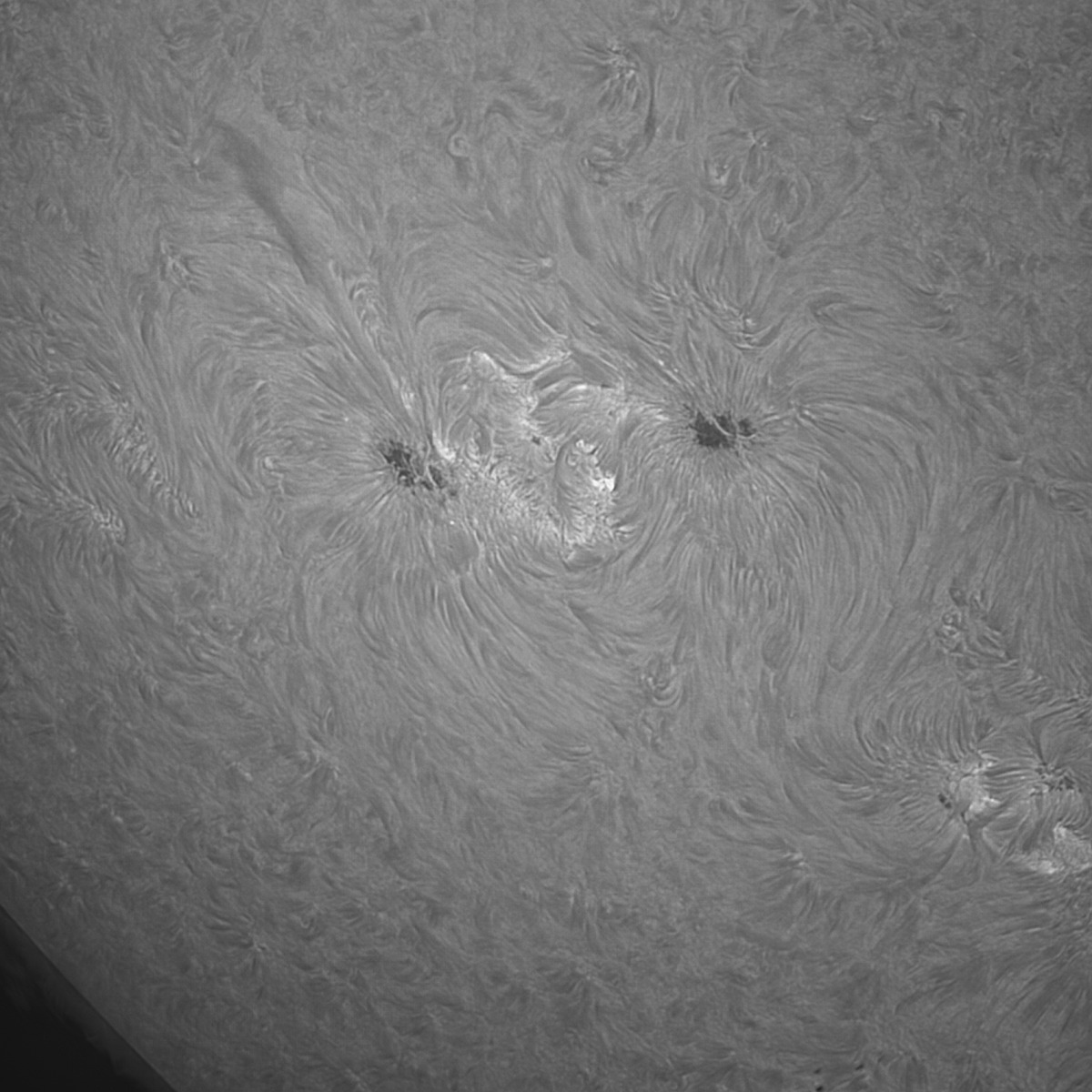 2021-06-27-AR12835-struktury.jpg