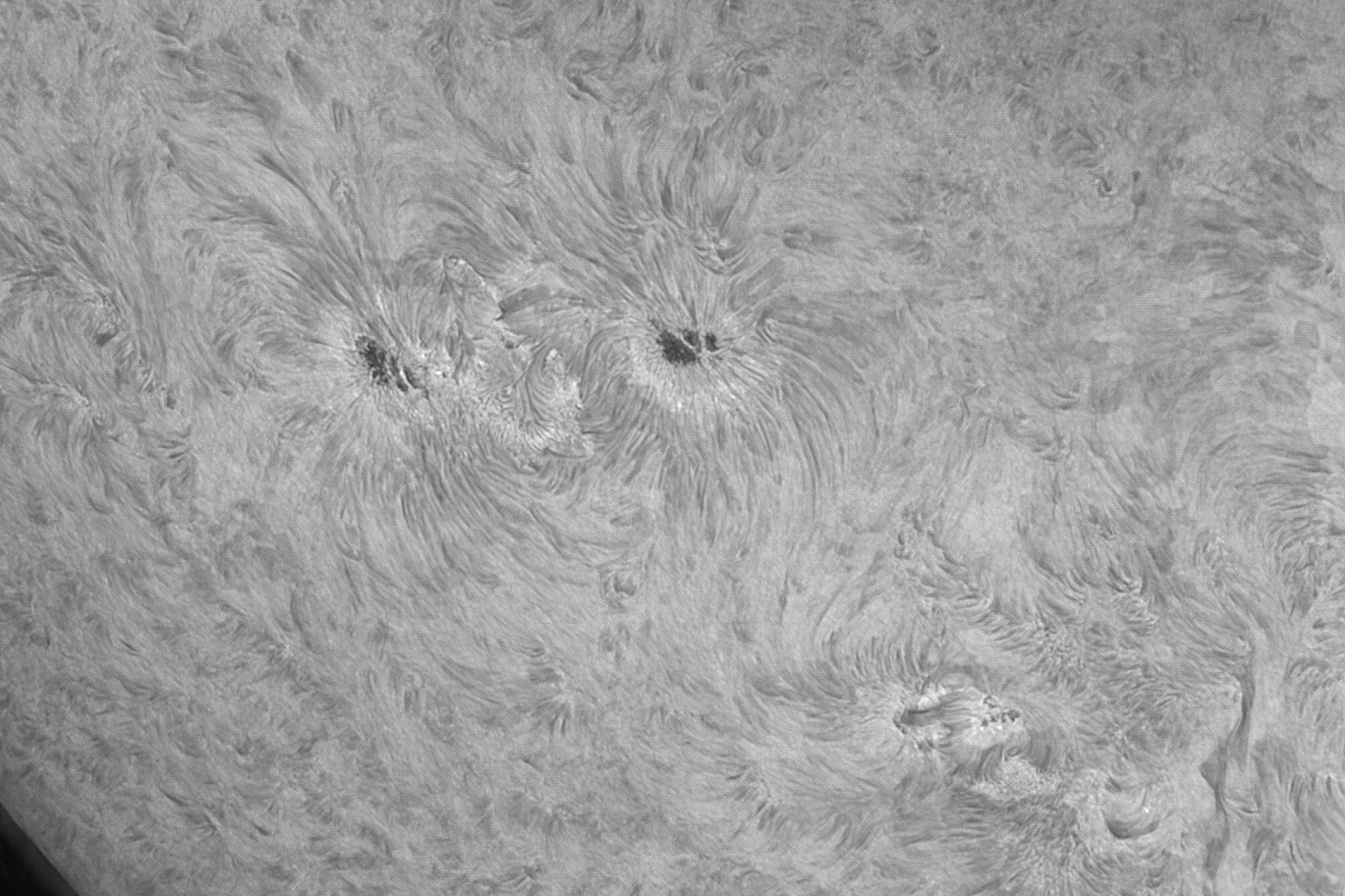 2021-06-27-Sun-H-alfa-AR12835-Quark.jpg