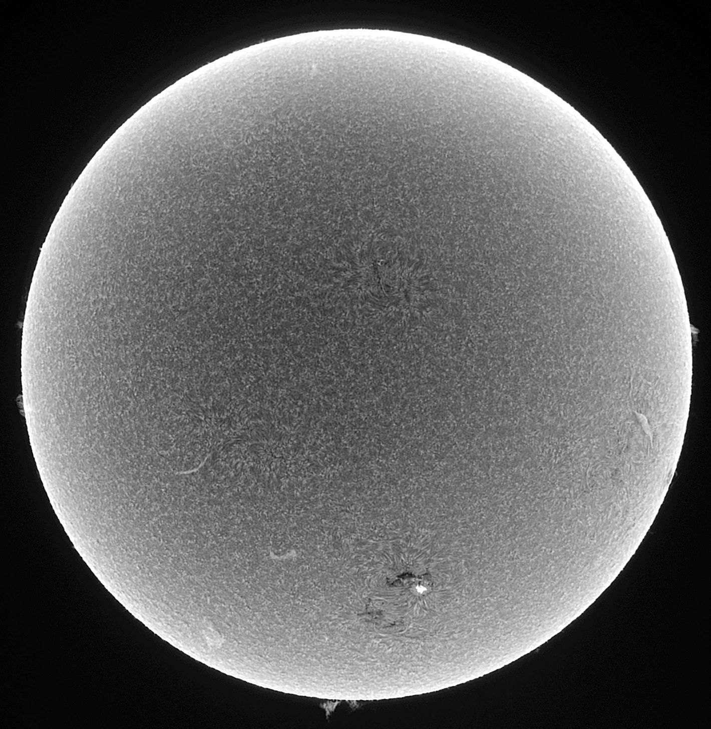 2021-07-03-1305_7-L_l5_ap377.jpg