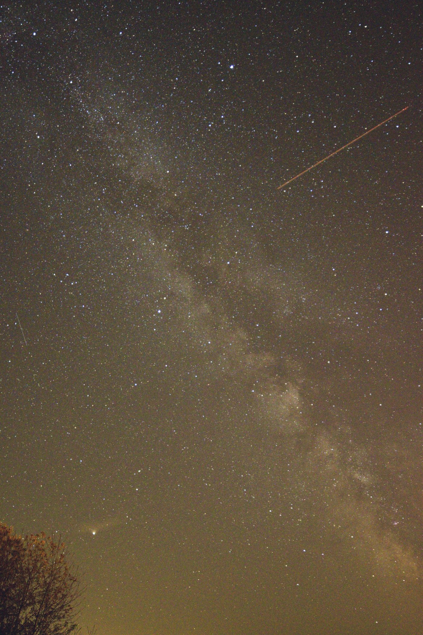 _DSC00122.jpg