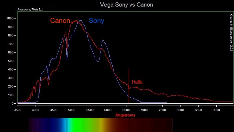 Sony vs Canon.jpg
