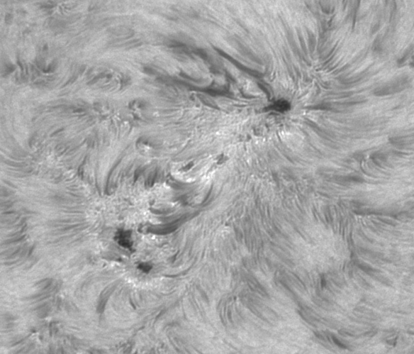 AR2860 , 26.8.2021, P.Prokop, 150mm H_alfa.png