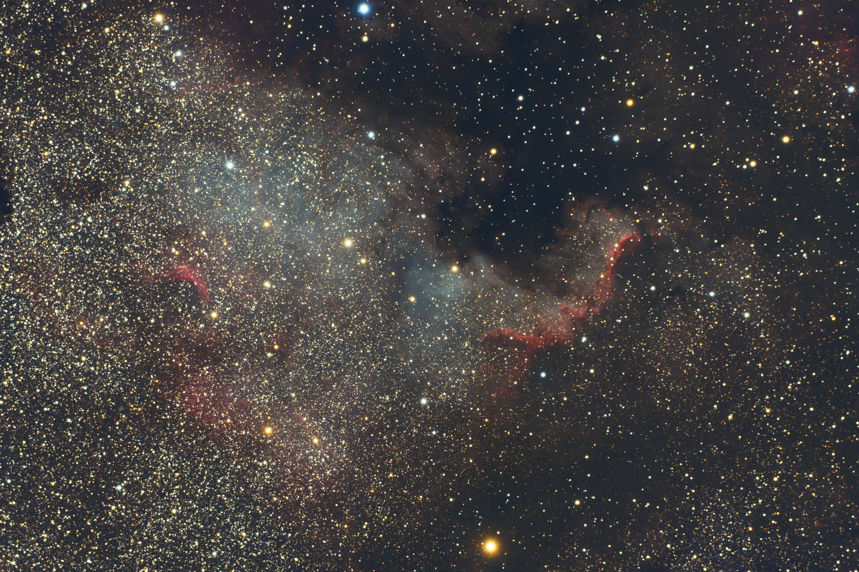 ngc7000af.jpg