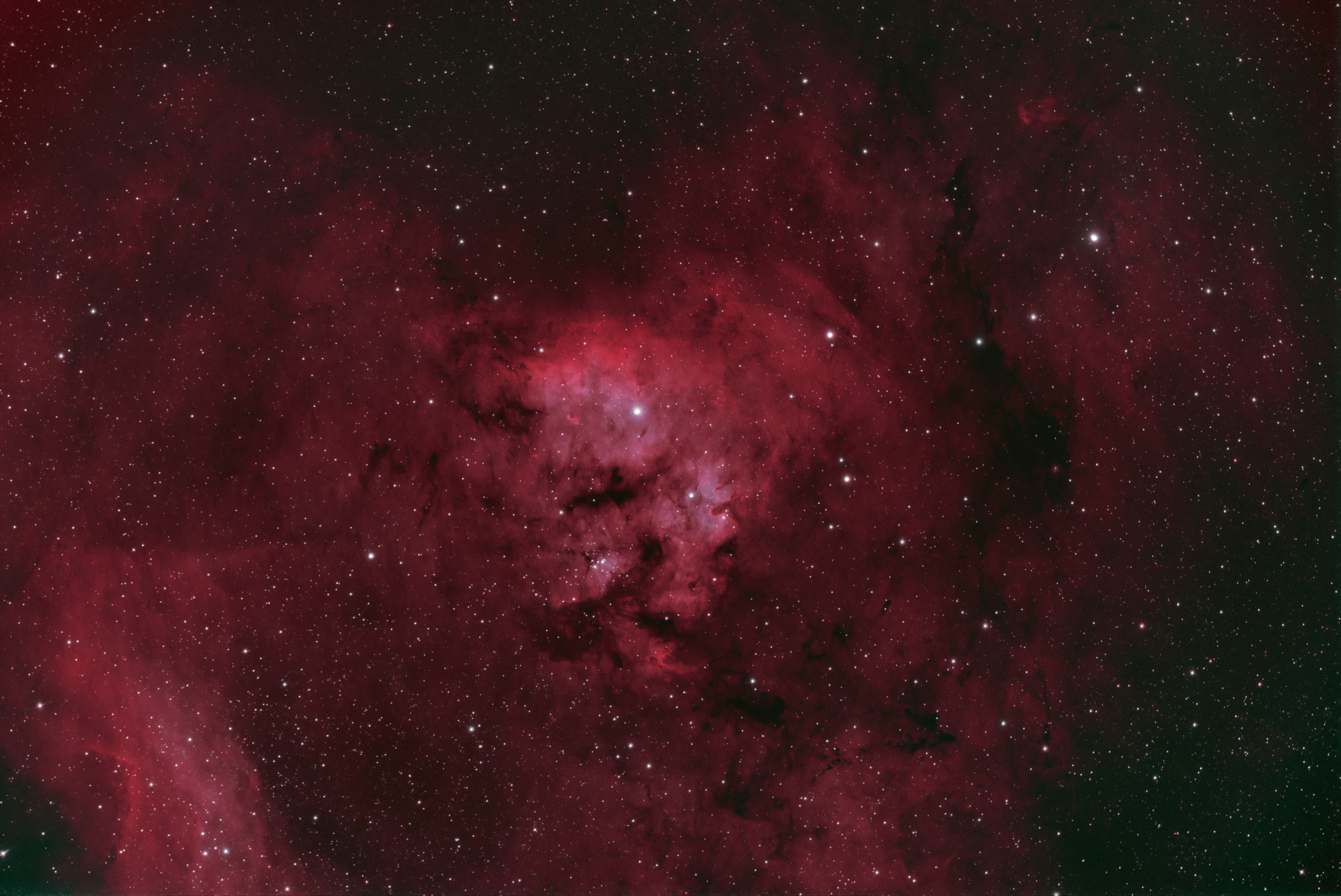 NGC 7822_bicolor_sm.jpg