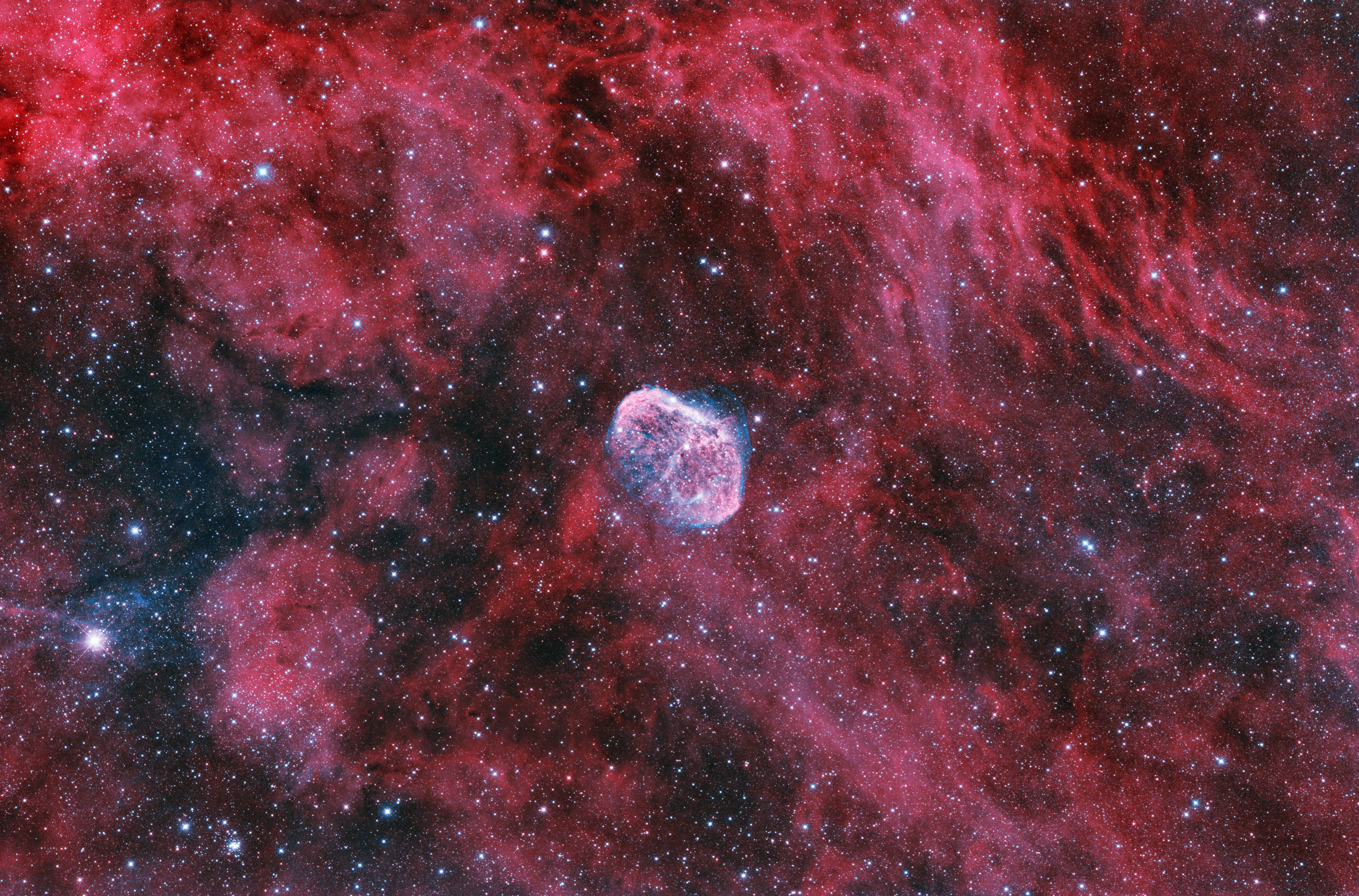 NGC6888_50%.jpg