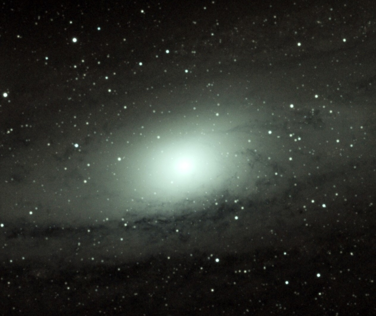 Canon 450Dm 52x120s ISO 1600.jpg