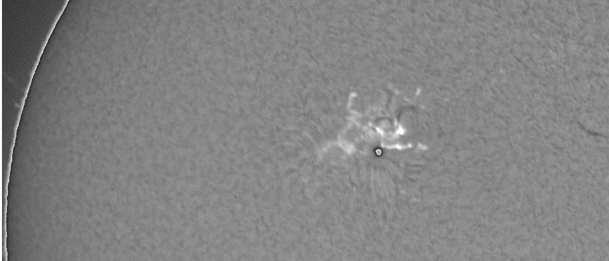 Flare M v AR2882, 9.10.21, 7h 04m UT, GONG Learmonth.png