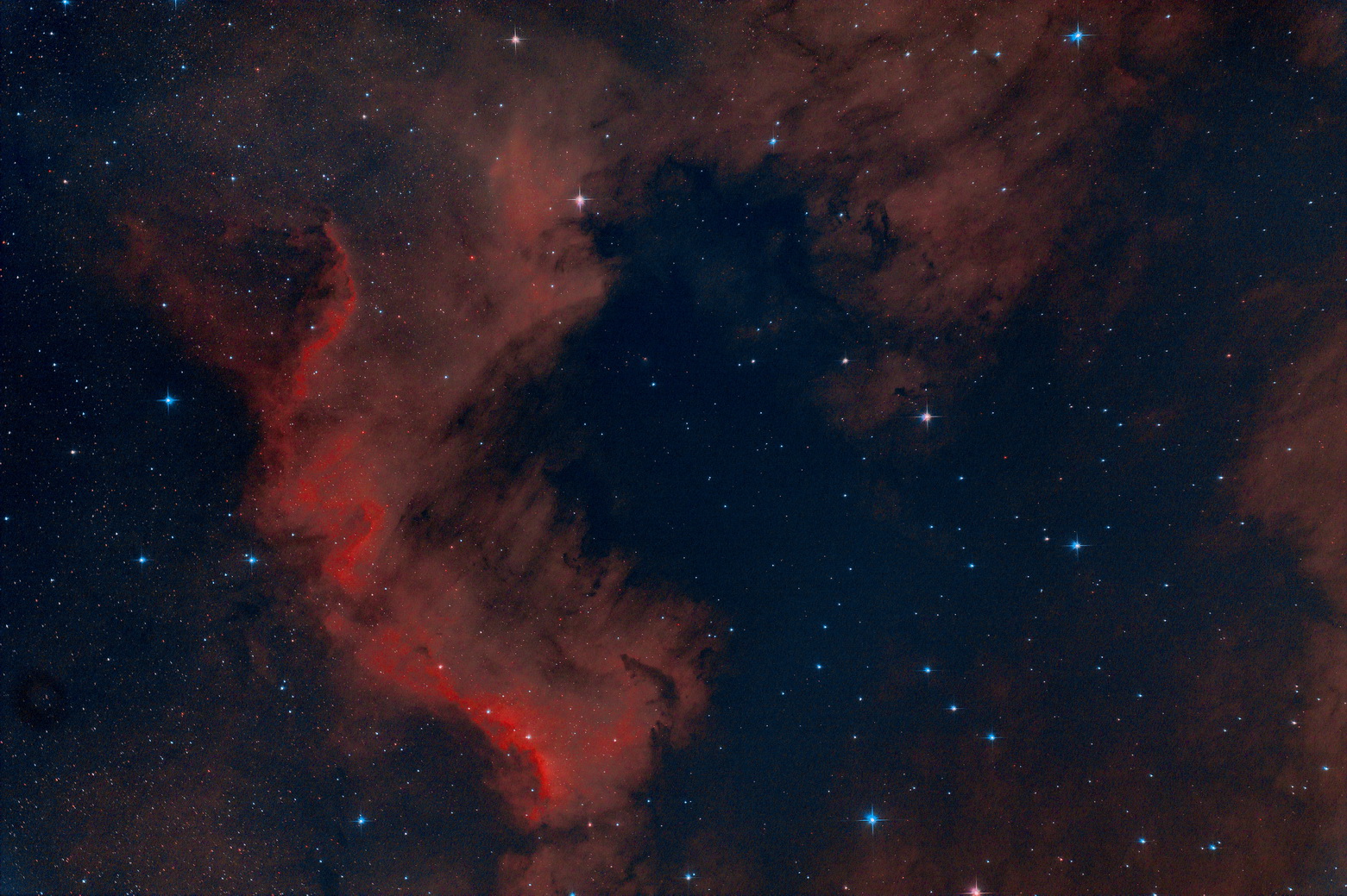 NGC7000 PN208 2021 Zukoff v1_resize.jpg