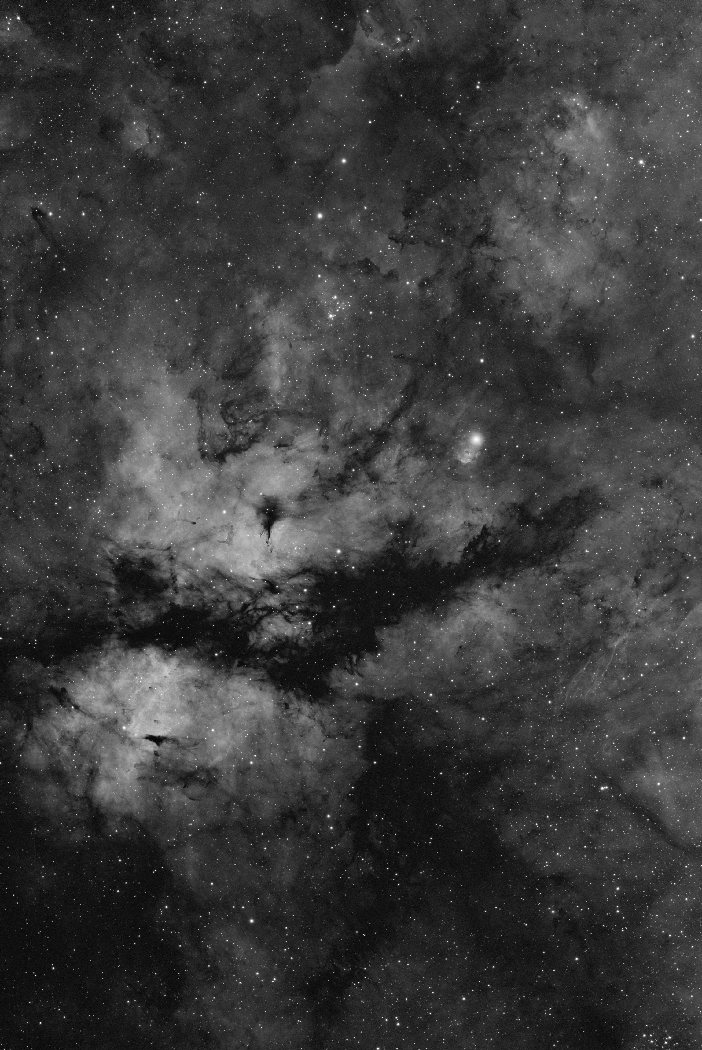 IC1318_Ha_1_sm_rot.jpg