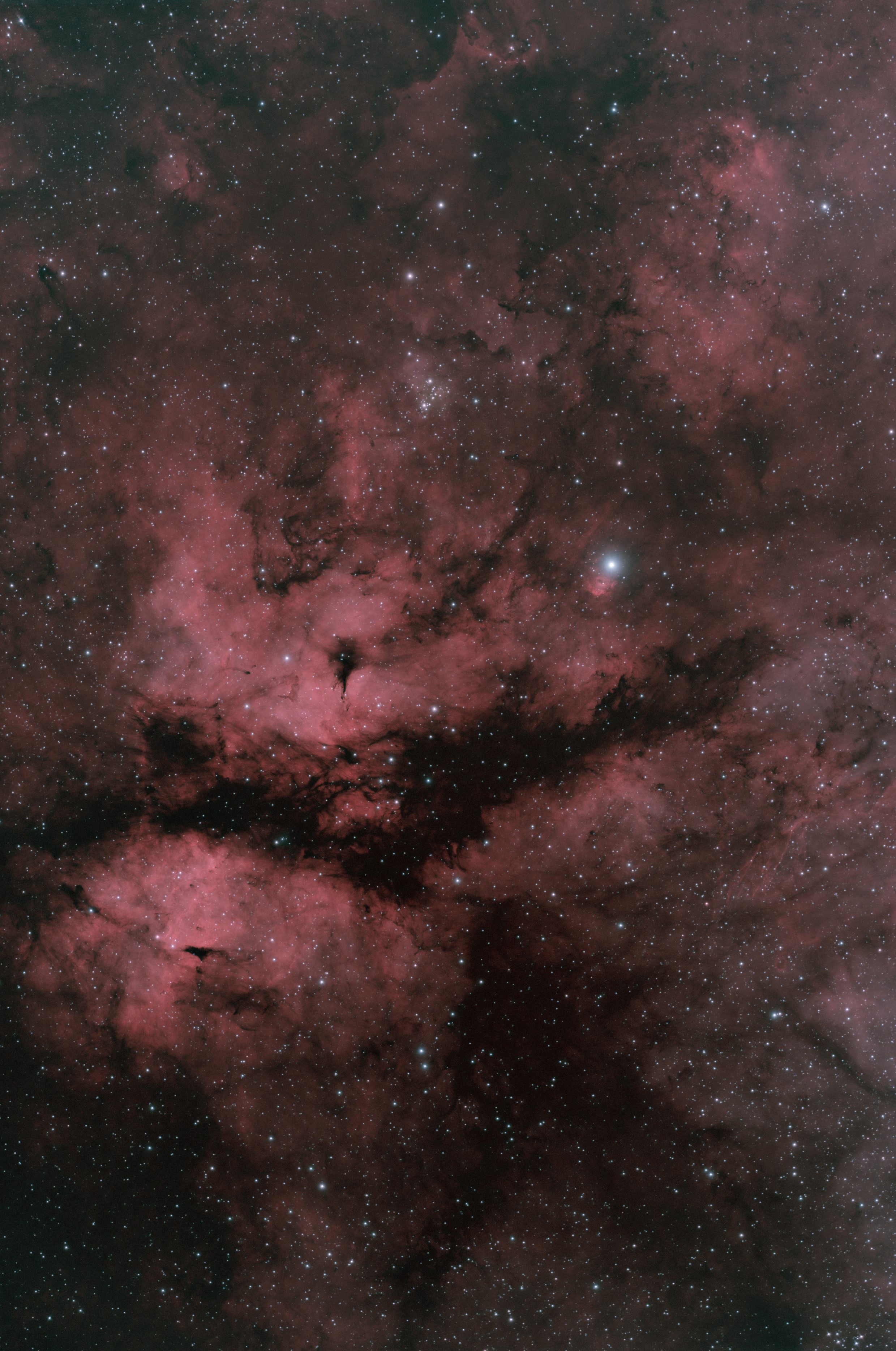 IC 1318_Sadr region_Bicolor_c_rot_sm.jpg