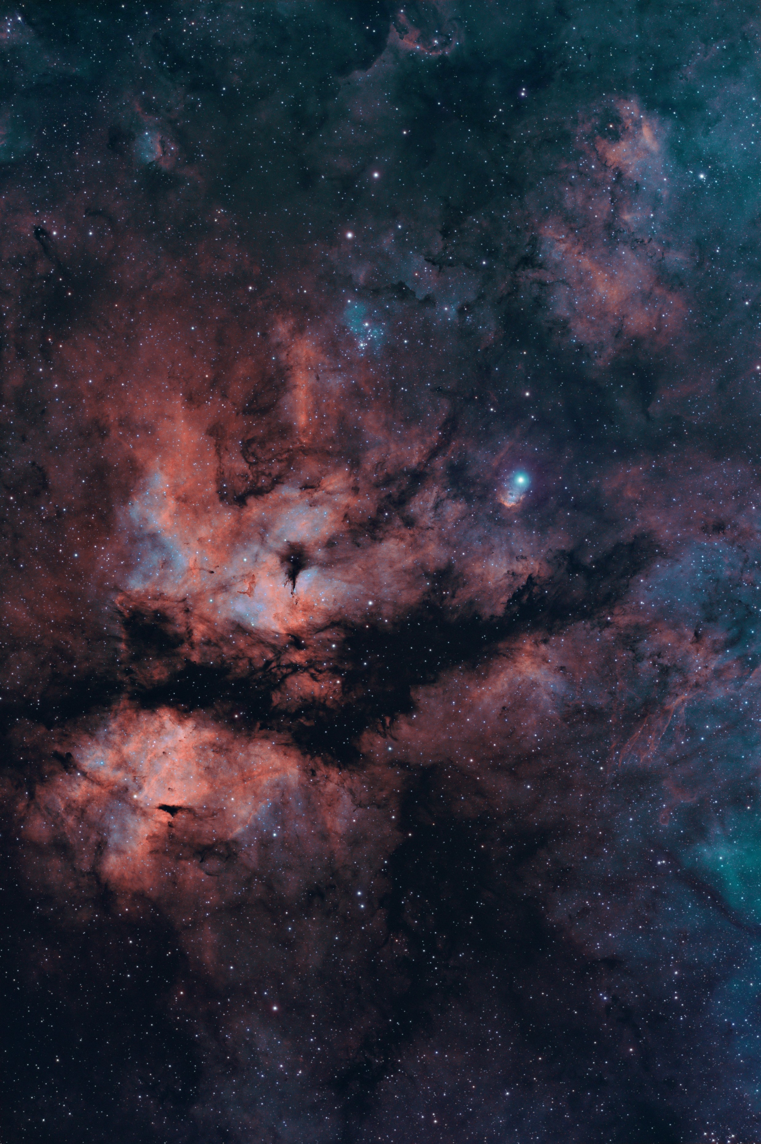 IC 1318_Sadr region_HST_sm.jpg