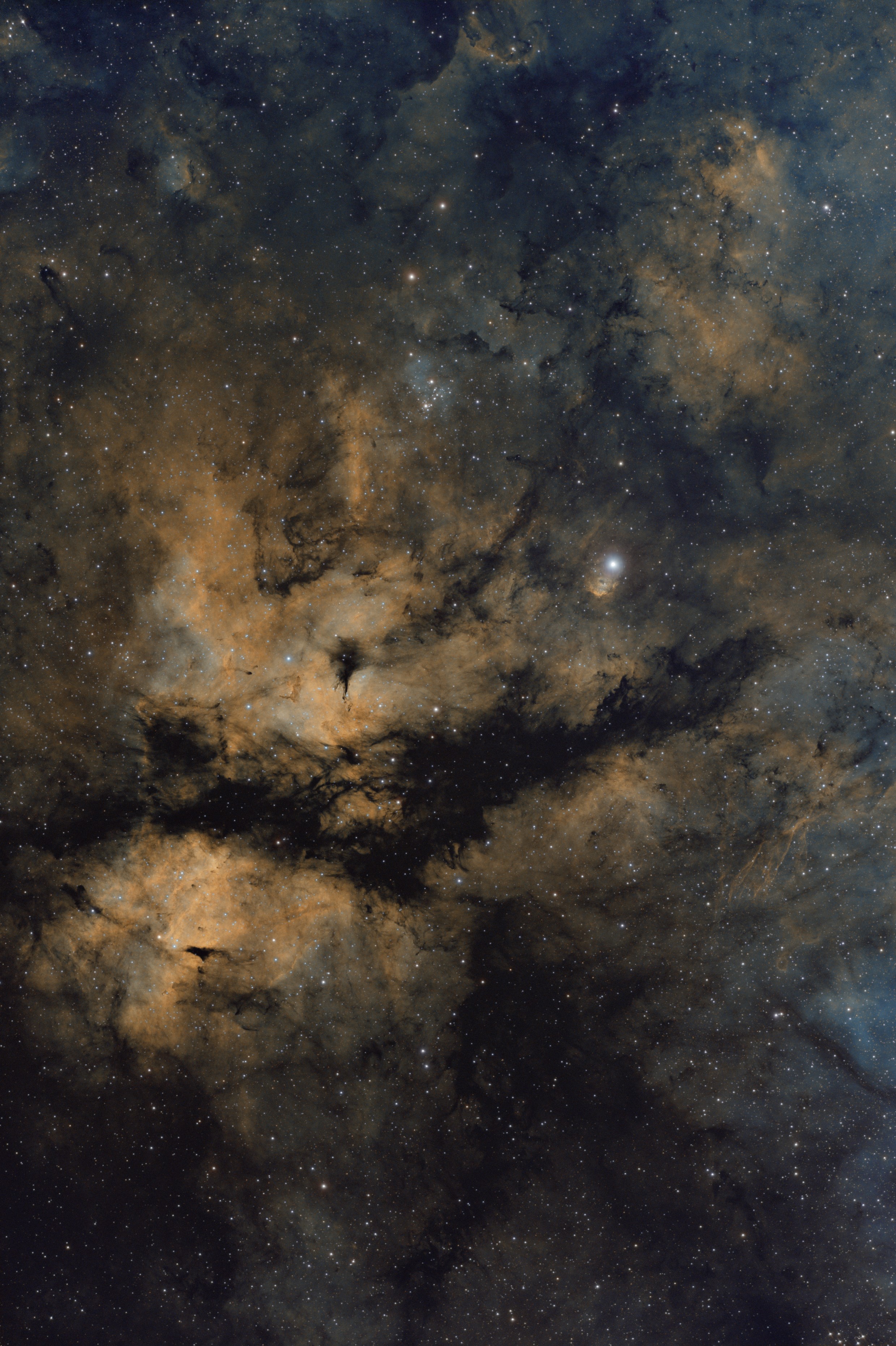 IC 1318_Sadr region_HST_0_sm.jpg