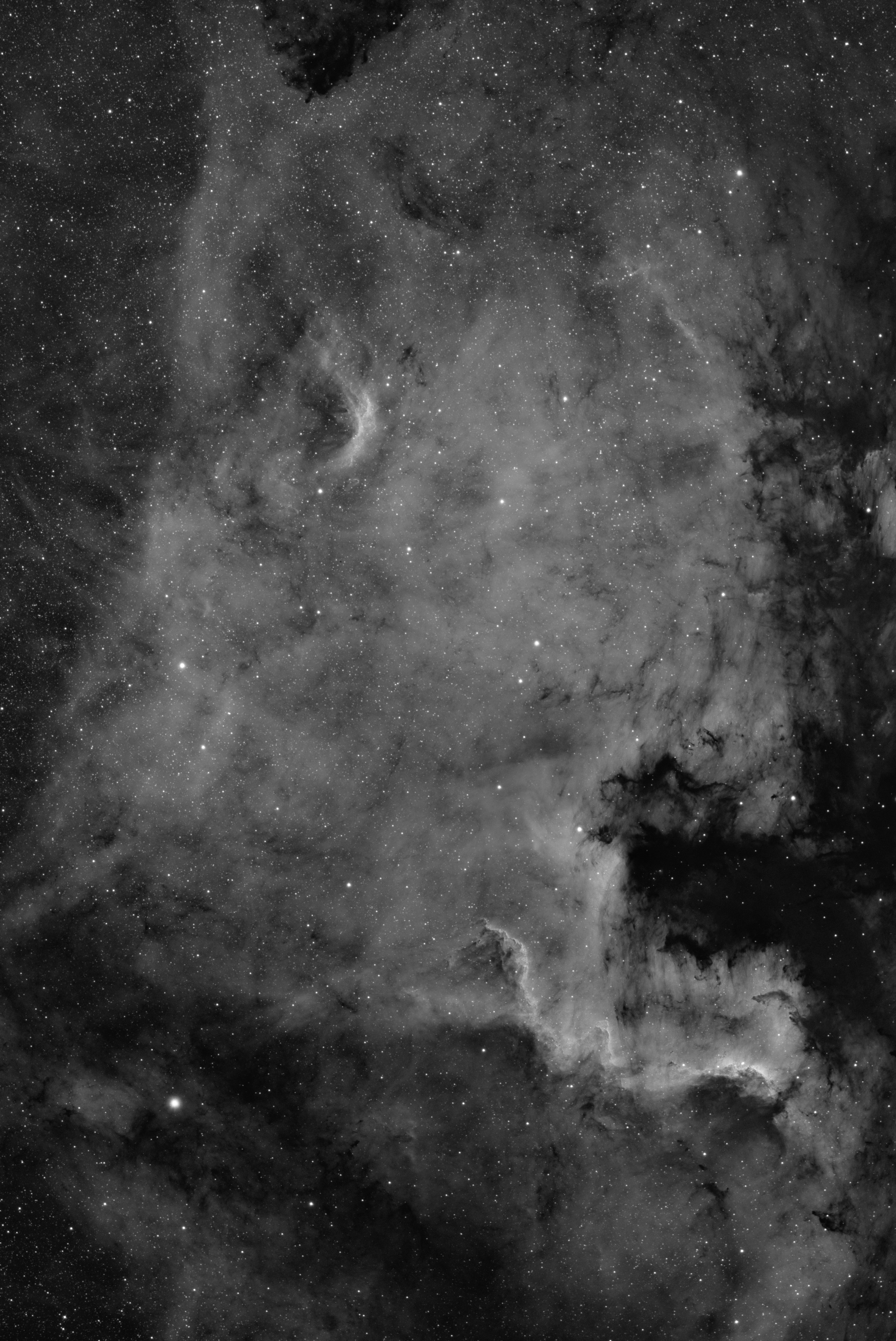 NGC 7000_North America_1_sm.jpg