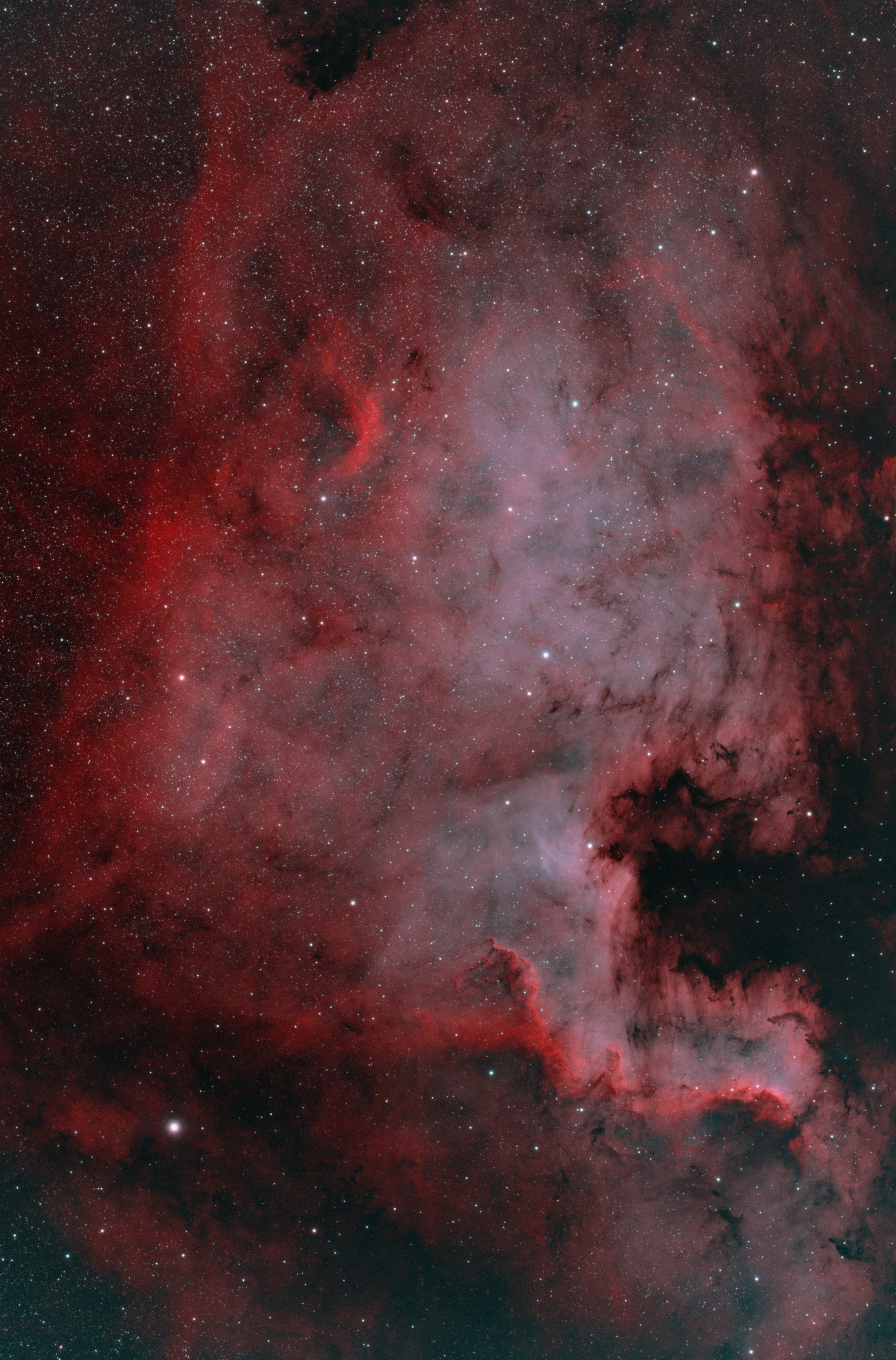 NGC 7000_North America nebula_Bicolor_sr_sm.jpg