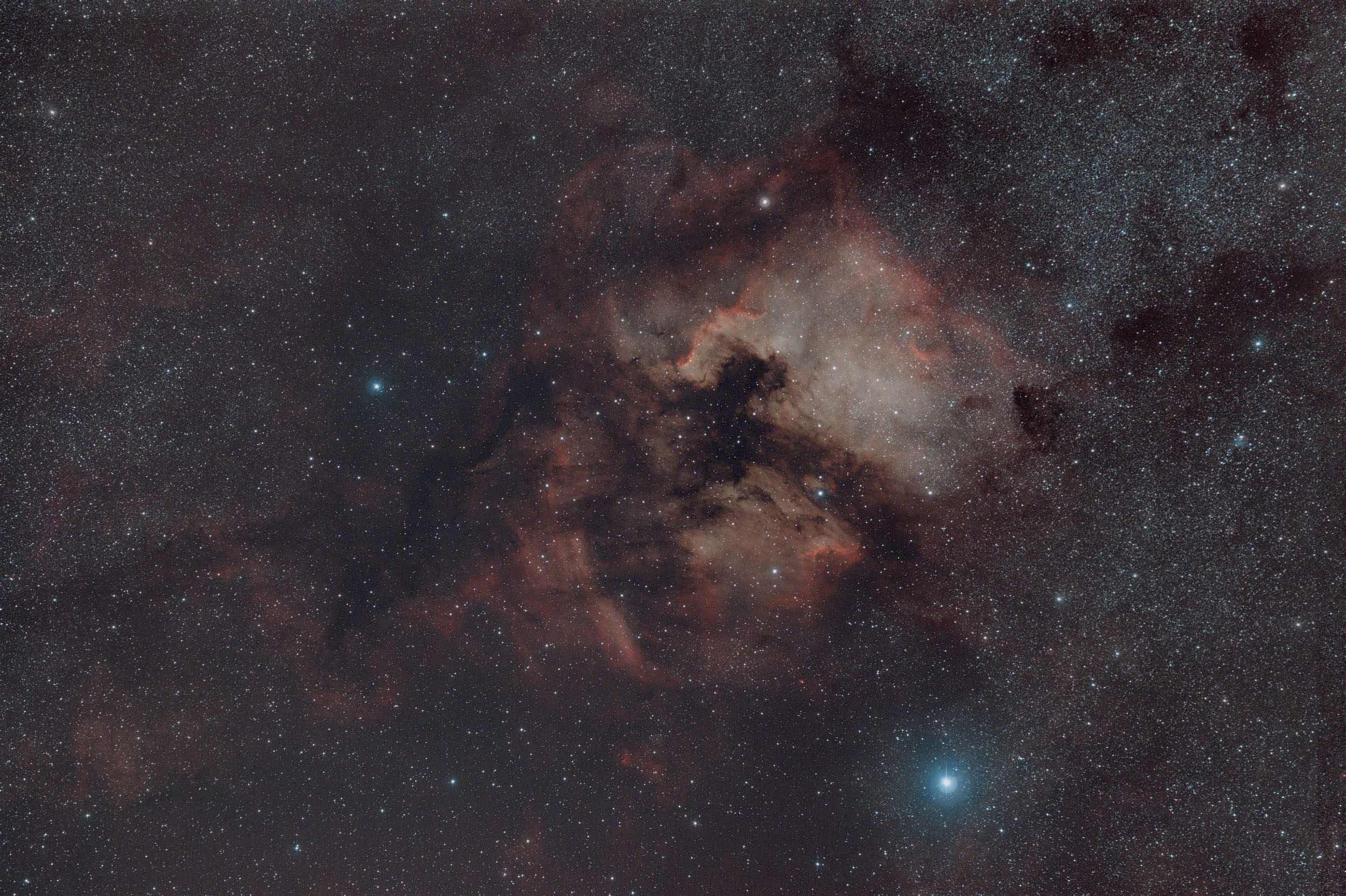 NGC7000_Optolong.jpg