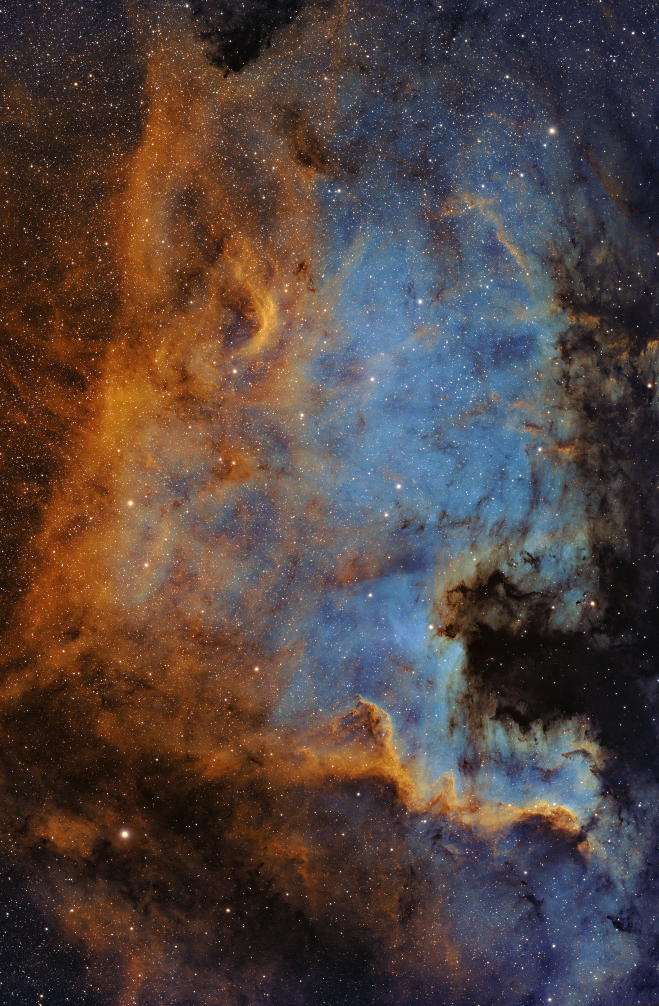 NGC 7000_North America nebula_SHO_gbm_sm.jpg