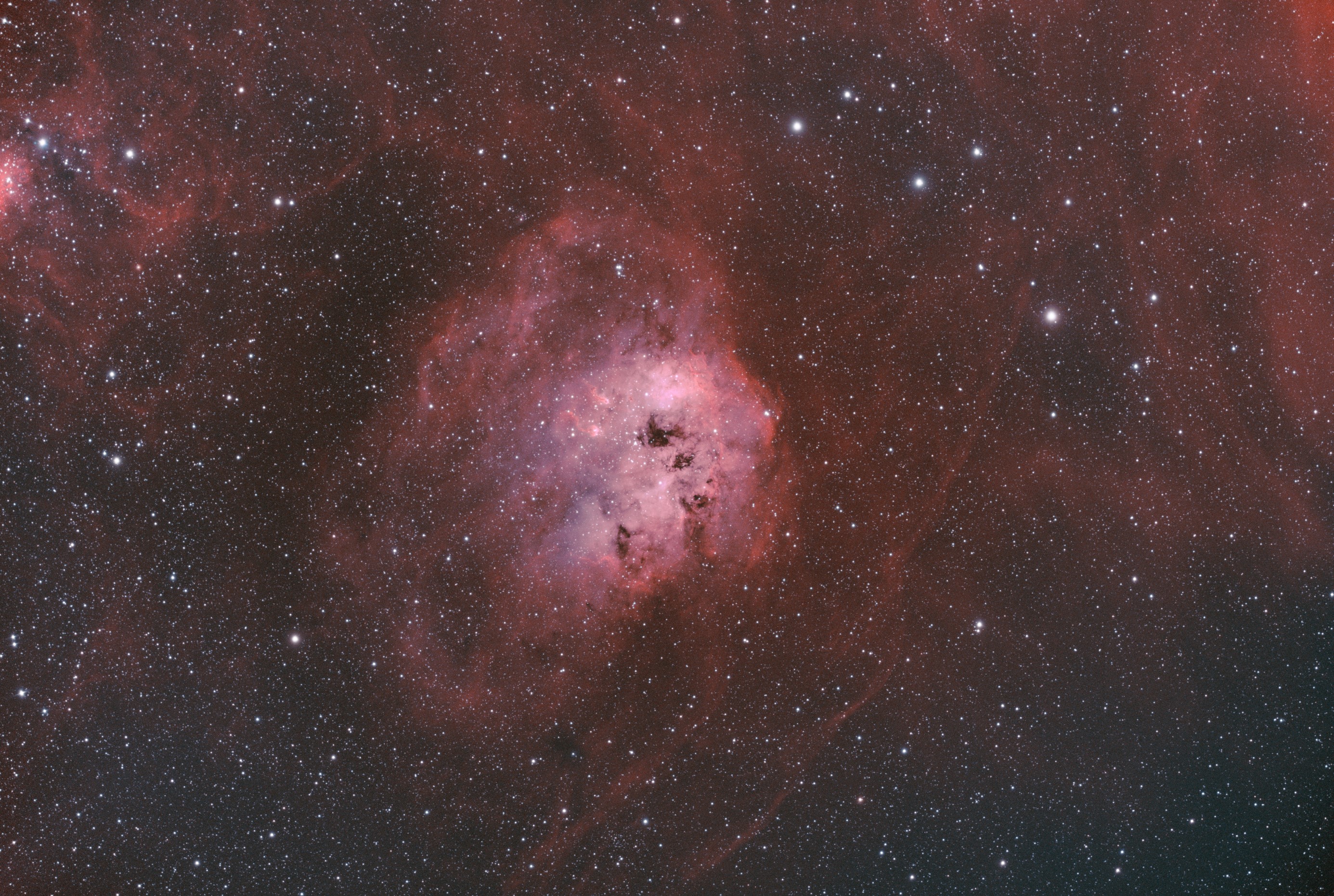 IC410_Tadpoles nebula_bicolor_sm.jpg