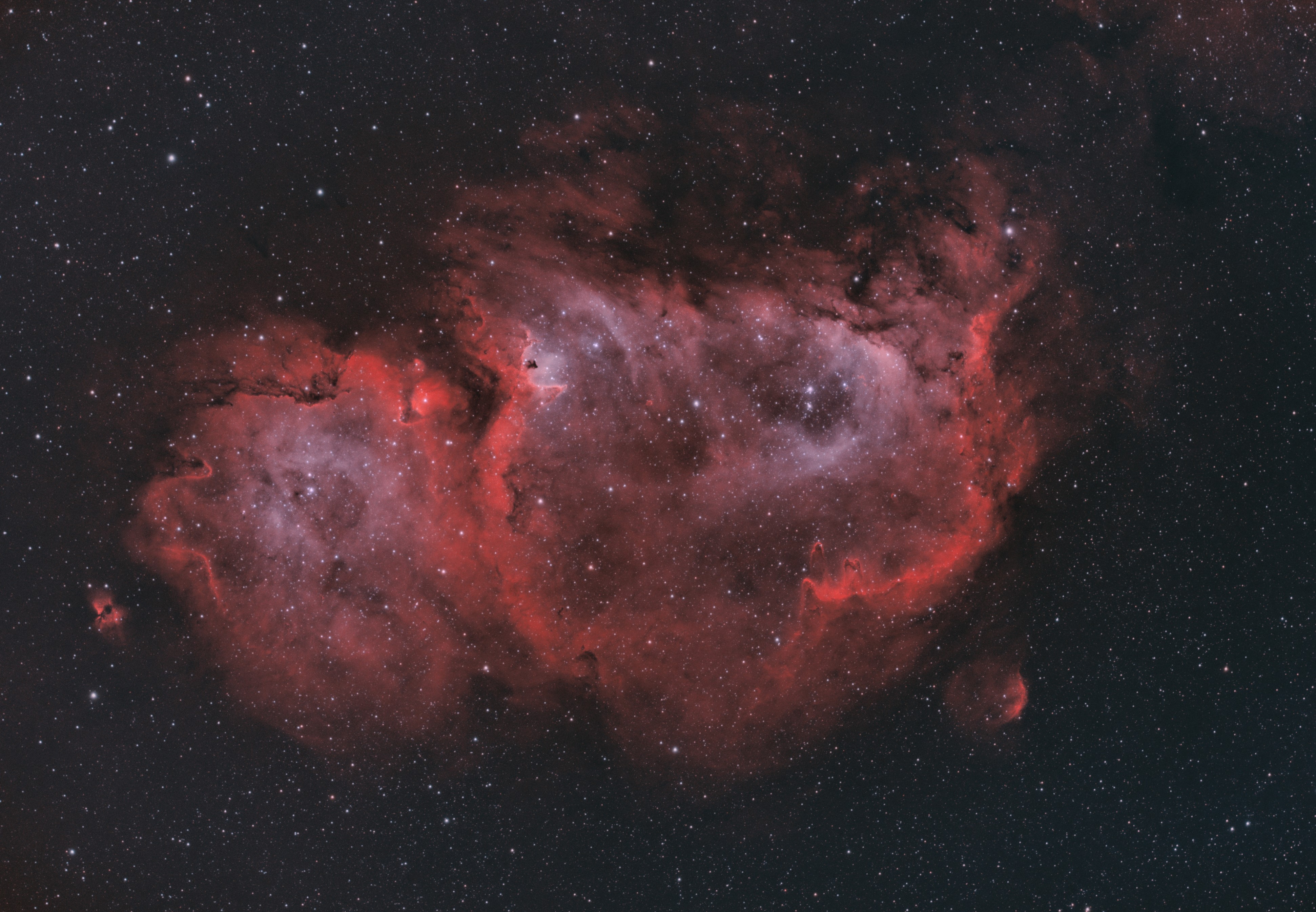 IC1848_bicolor_3_sm.jpg