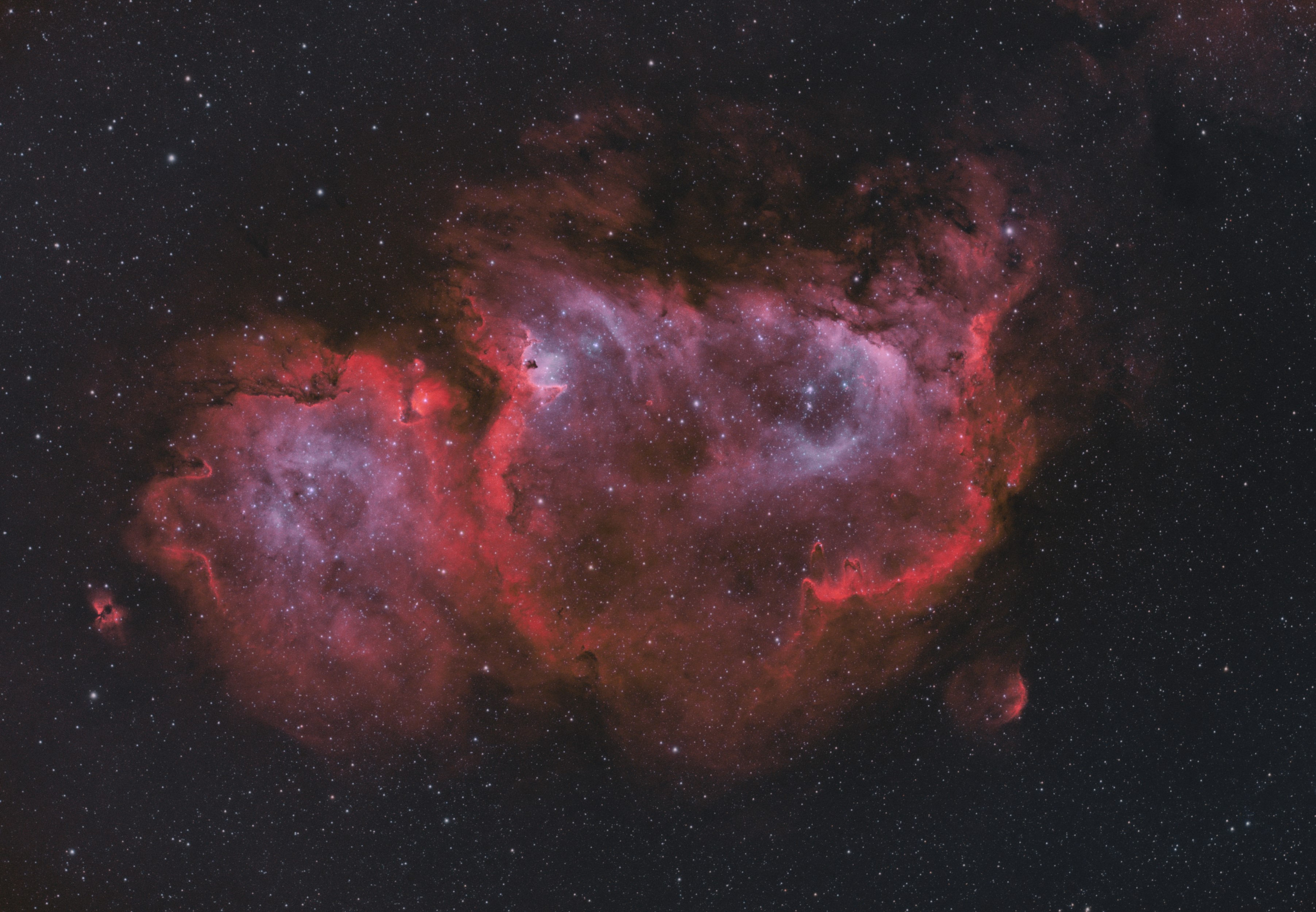 IC1848_bicolor_6_sm.jpg
