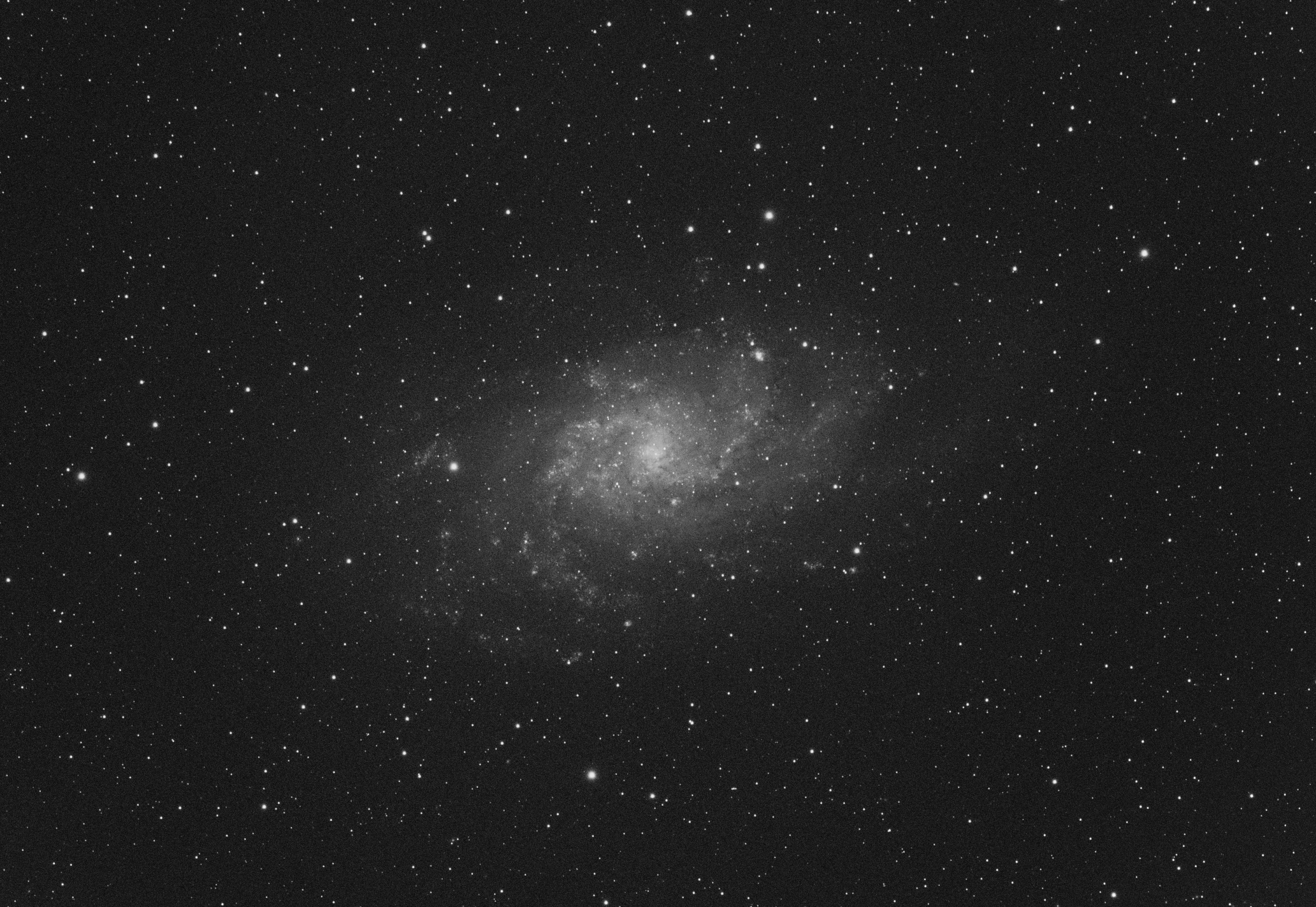 M33 triangulum galaxy_single frame CLS_sm.jpg
