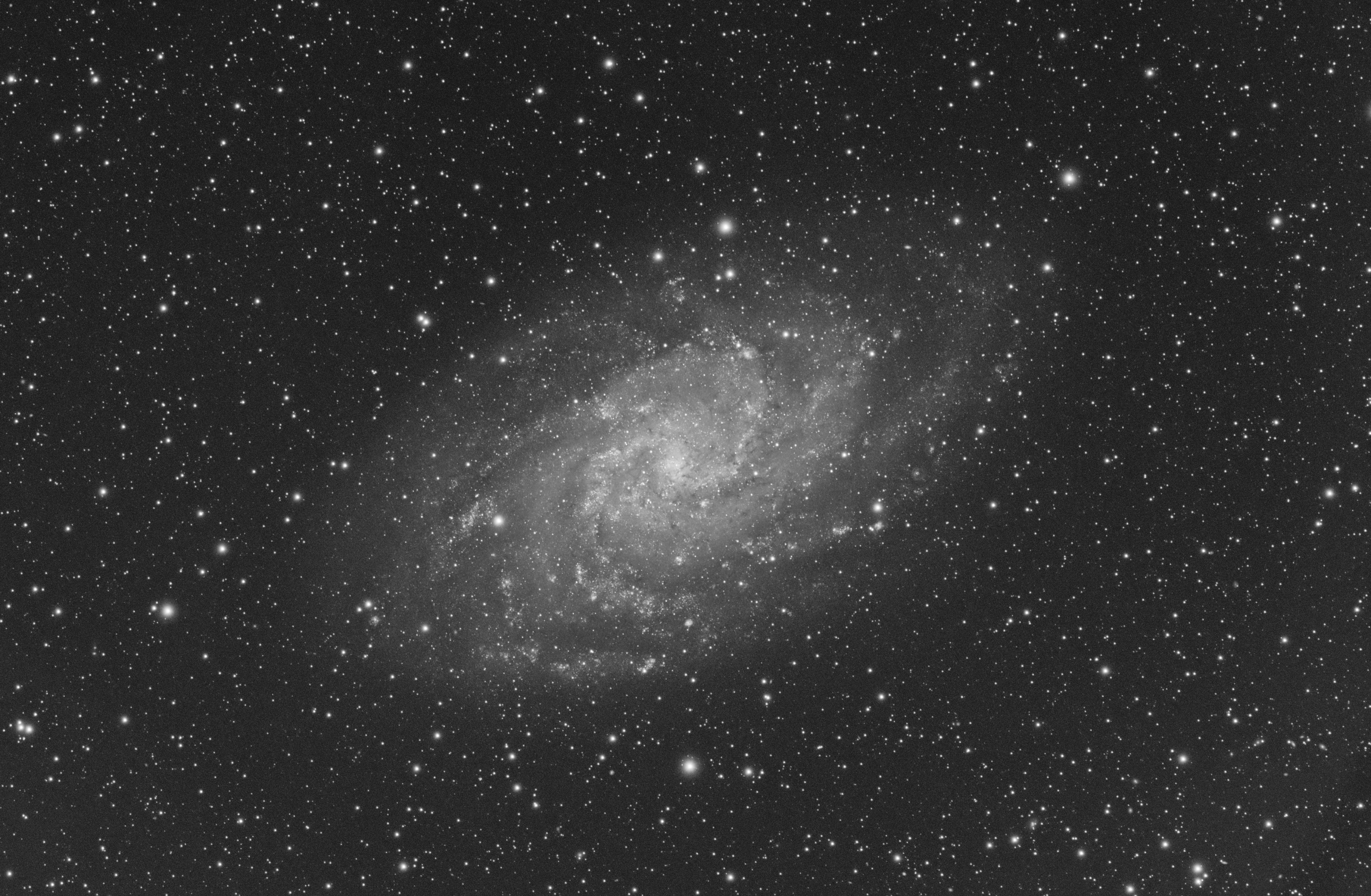 M33_Triangulum galaxy_L_1_sm.jpg
