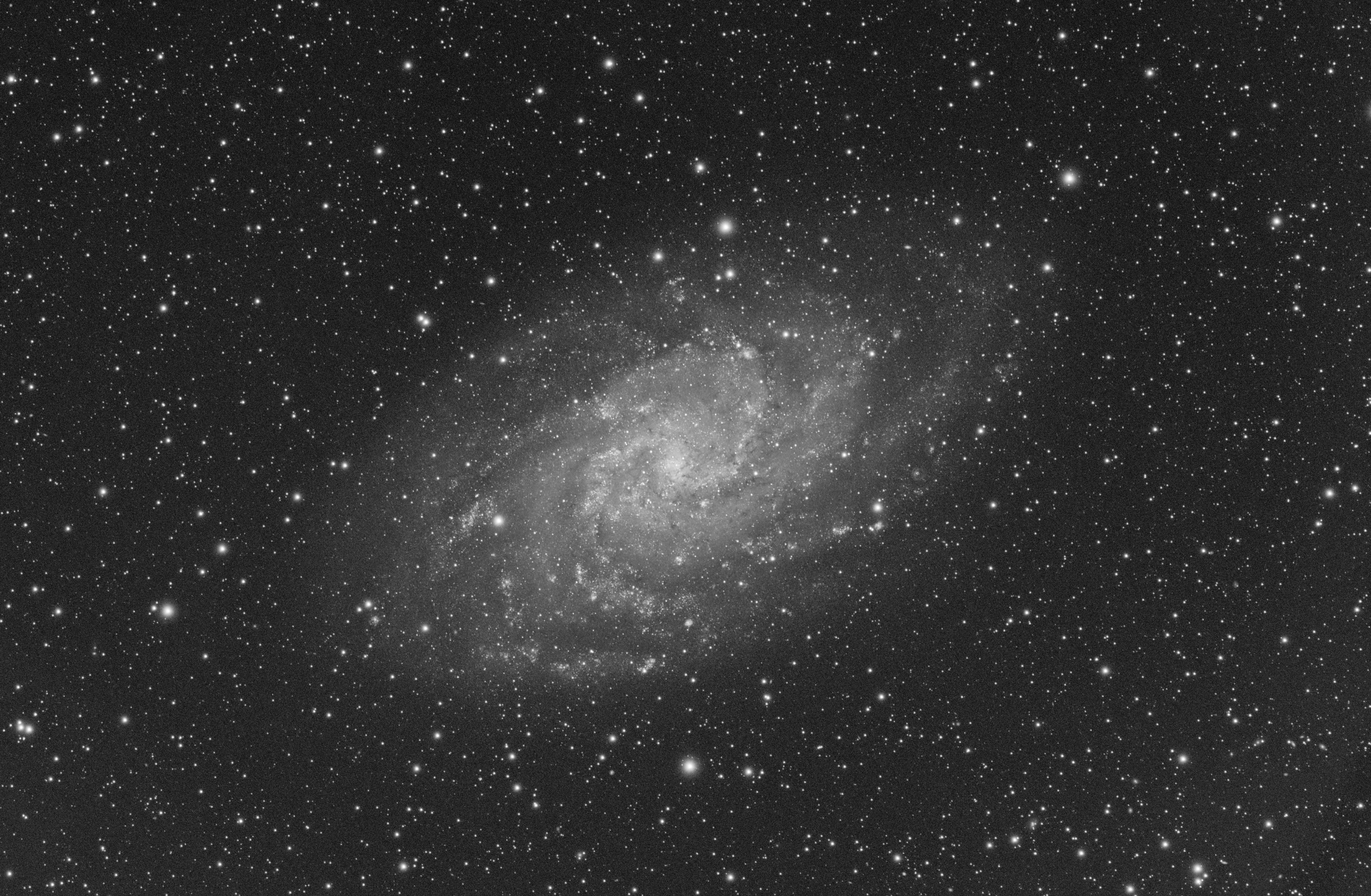 M33_Triangulum galaxy_L_sm.jpg