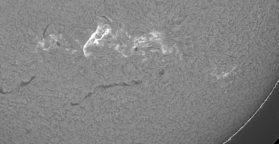 Flare M1.9 v AR 2908, 20.12.2021, 11h 51m UT, Cerro Tollo GONG.png