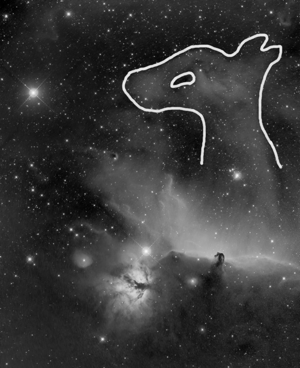 konska hlava a velka hlava Psion.jpg