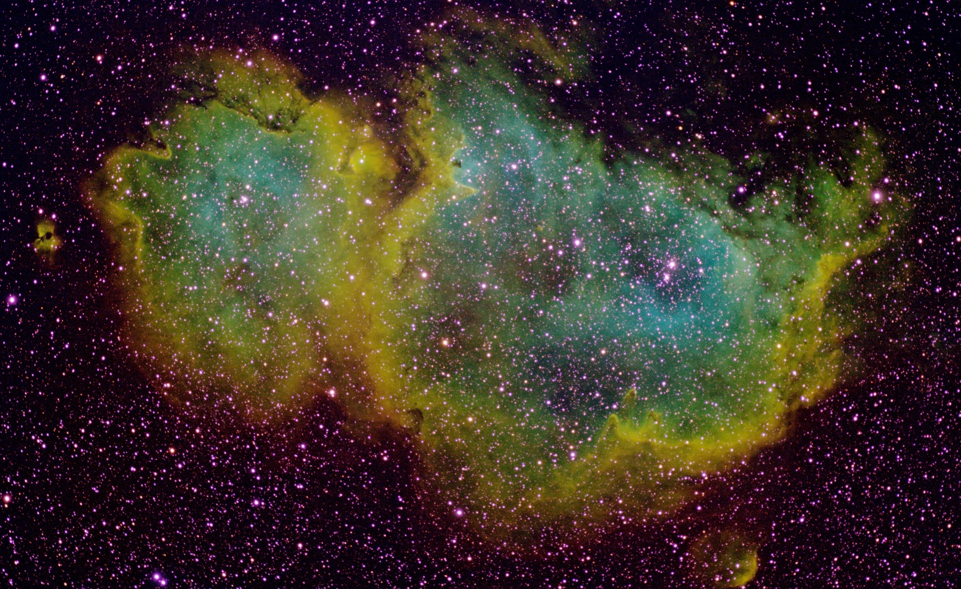 IC1848_SHO (1).jpg