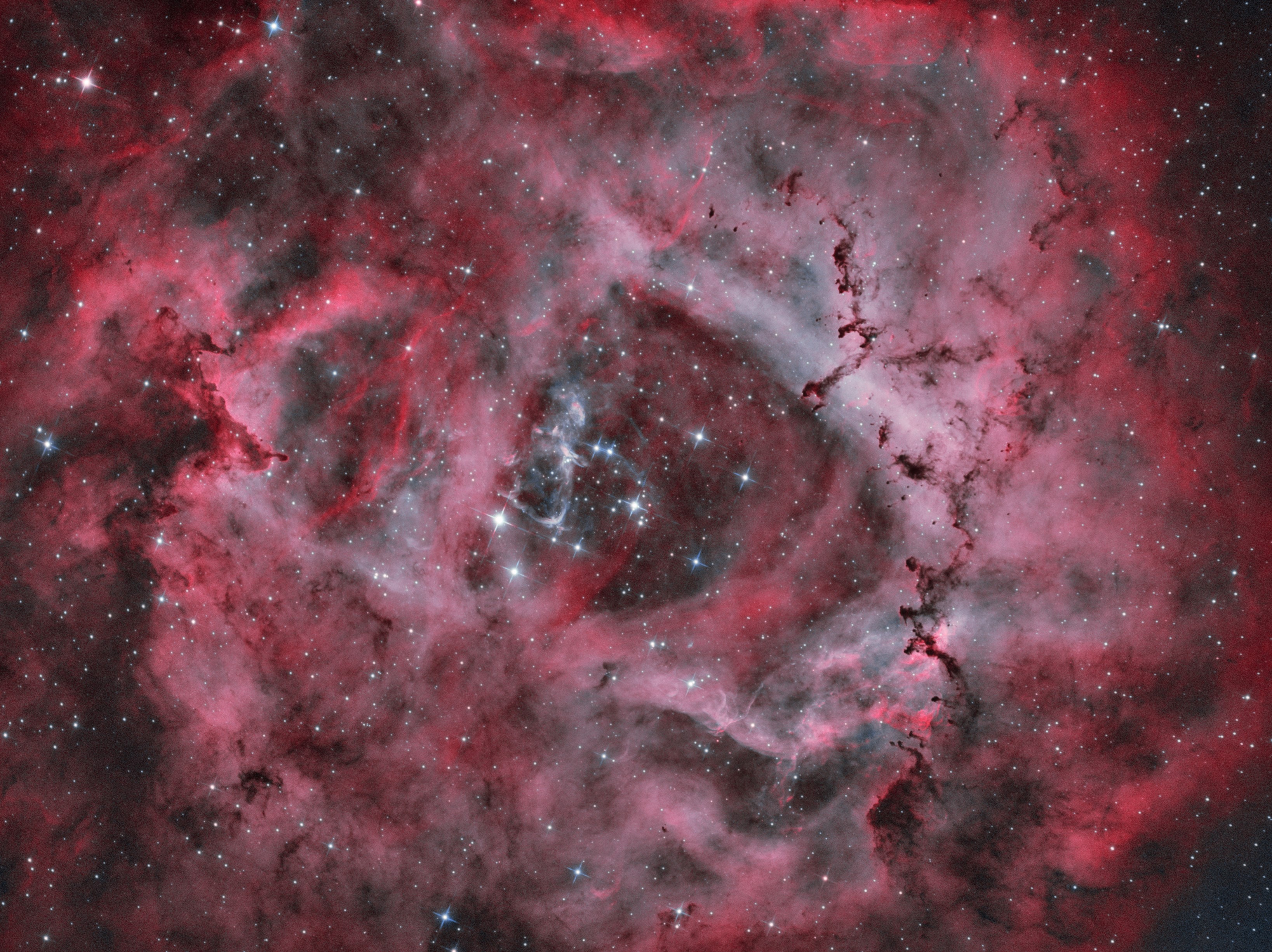 NGC 2237_Rosette nebula_bicolor_master_3_sm.jpg