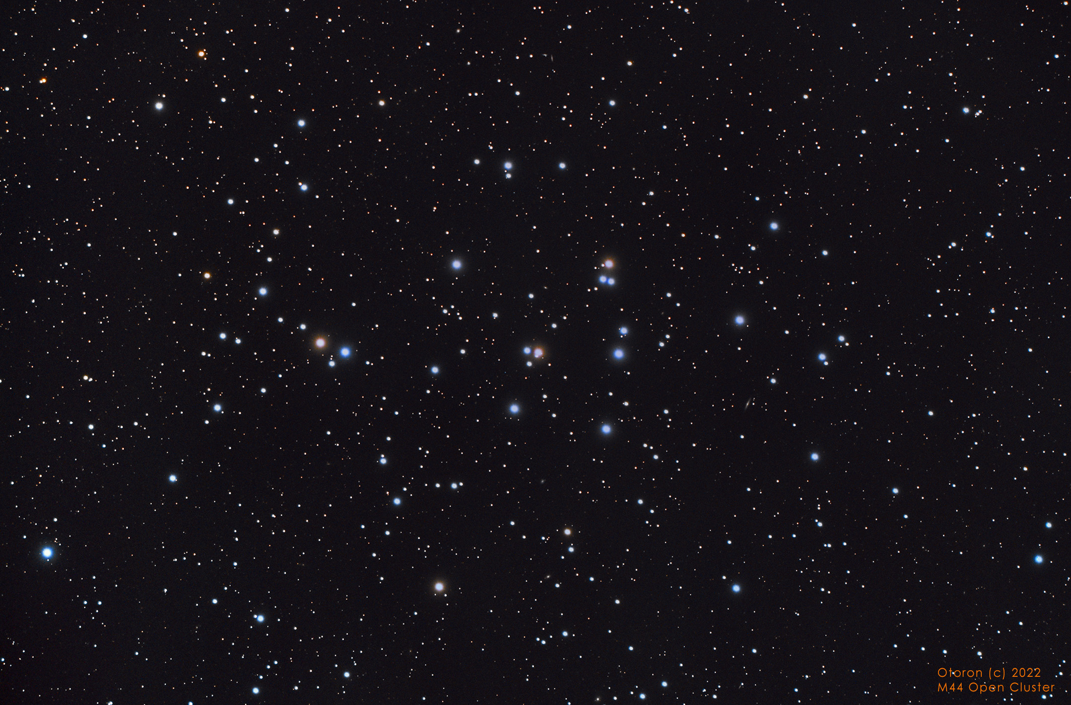 M44-Signed-small.jpg