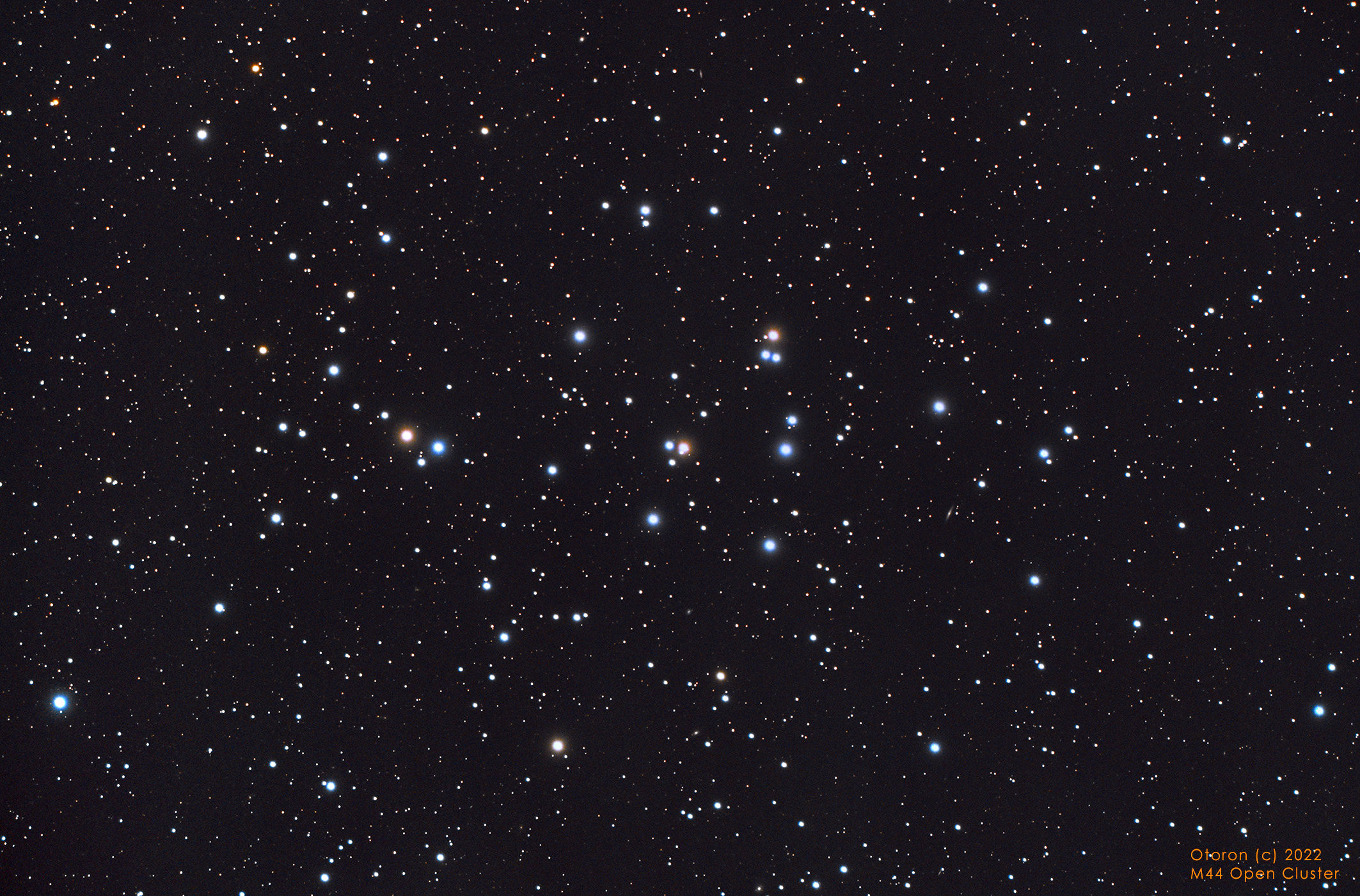 M44-Signed-small.jpg