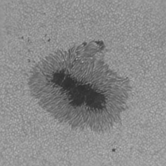 2022-03-28-0954_4-R-IR-Sun_lapl5_ap506 2.jpg