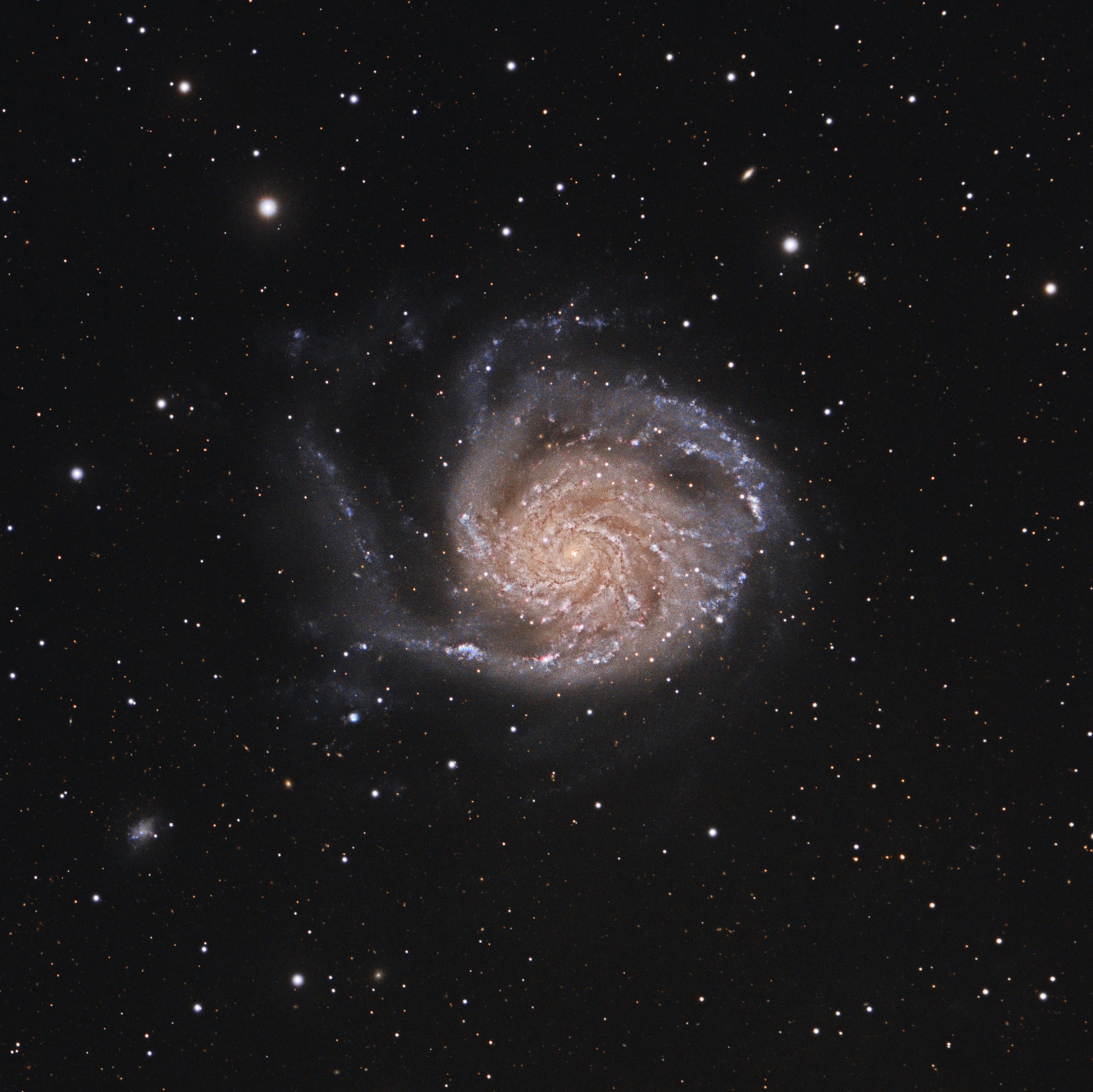 M101_FB.jpg